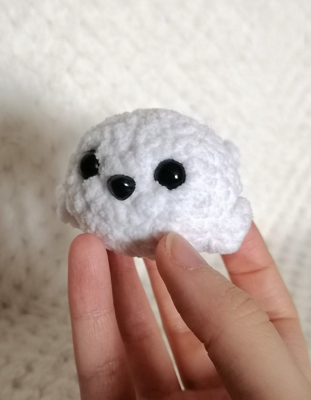 Bébé Phoque