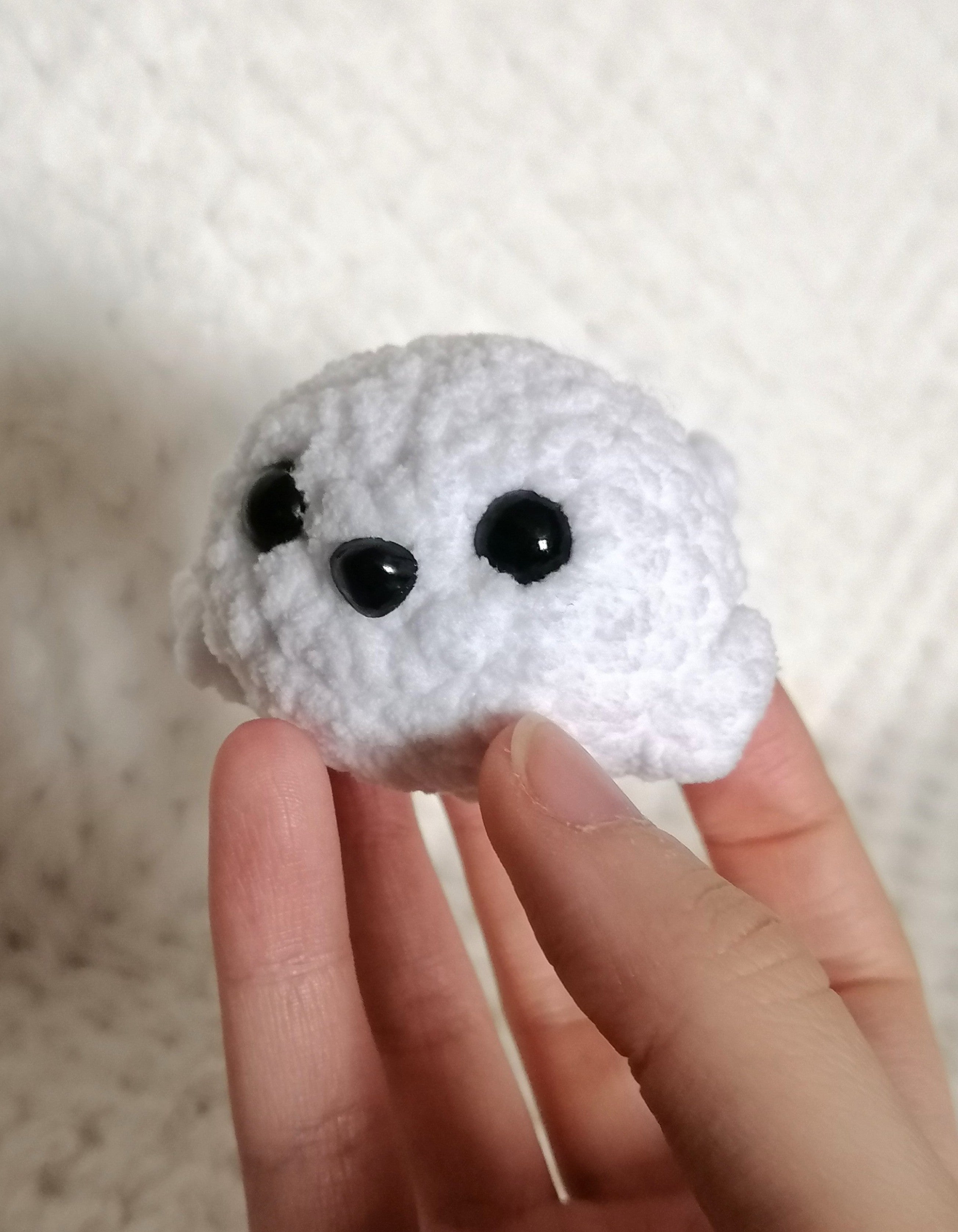 Bébé Phoque