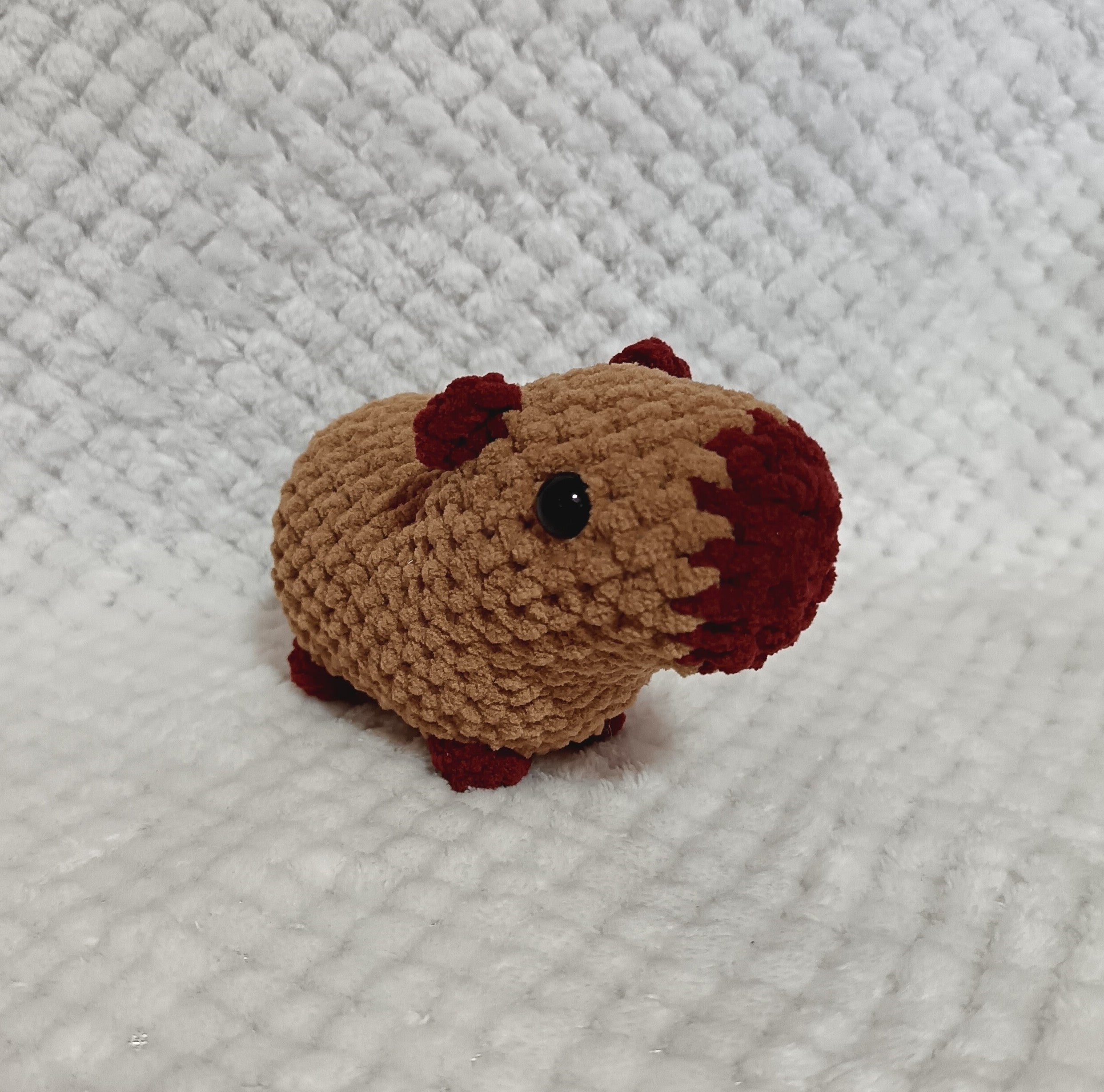 Capybara marron