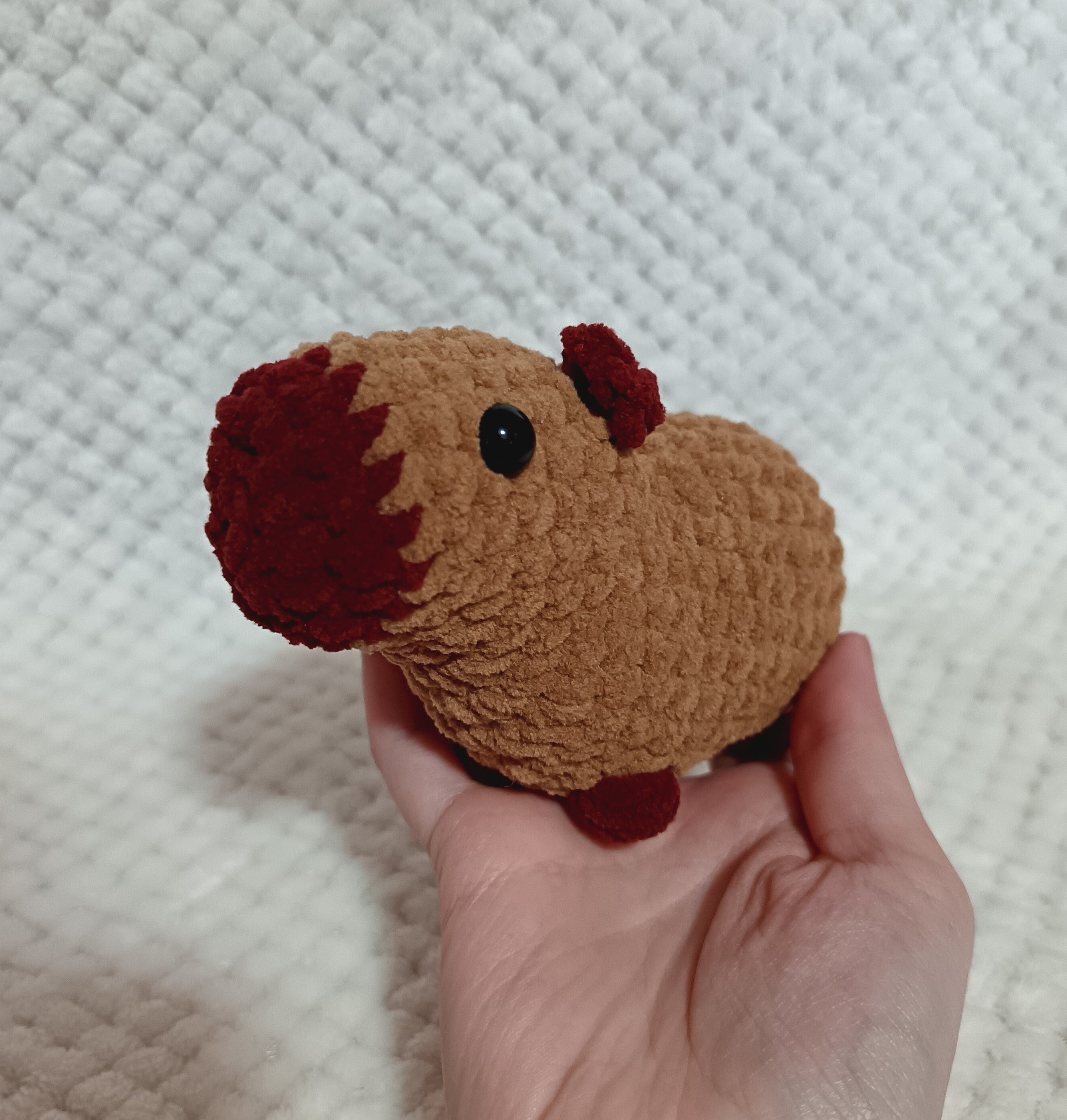 Capybara marron