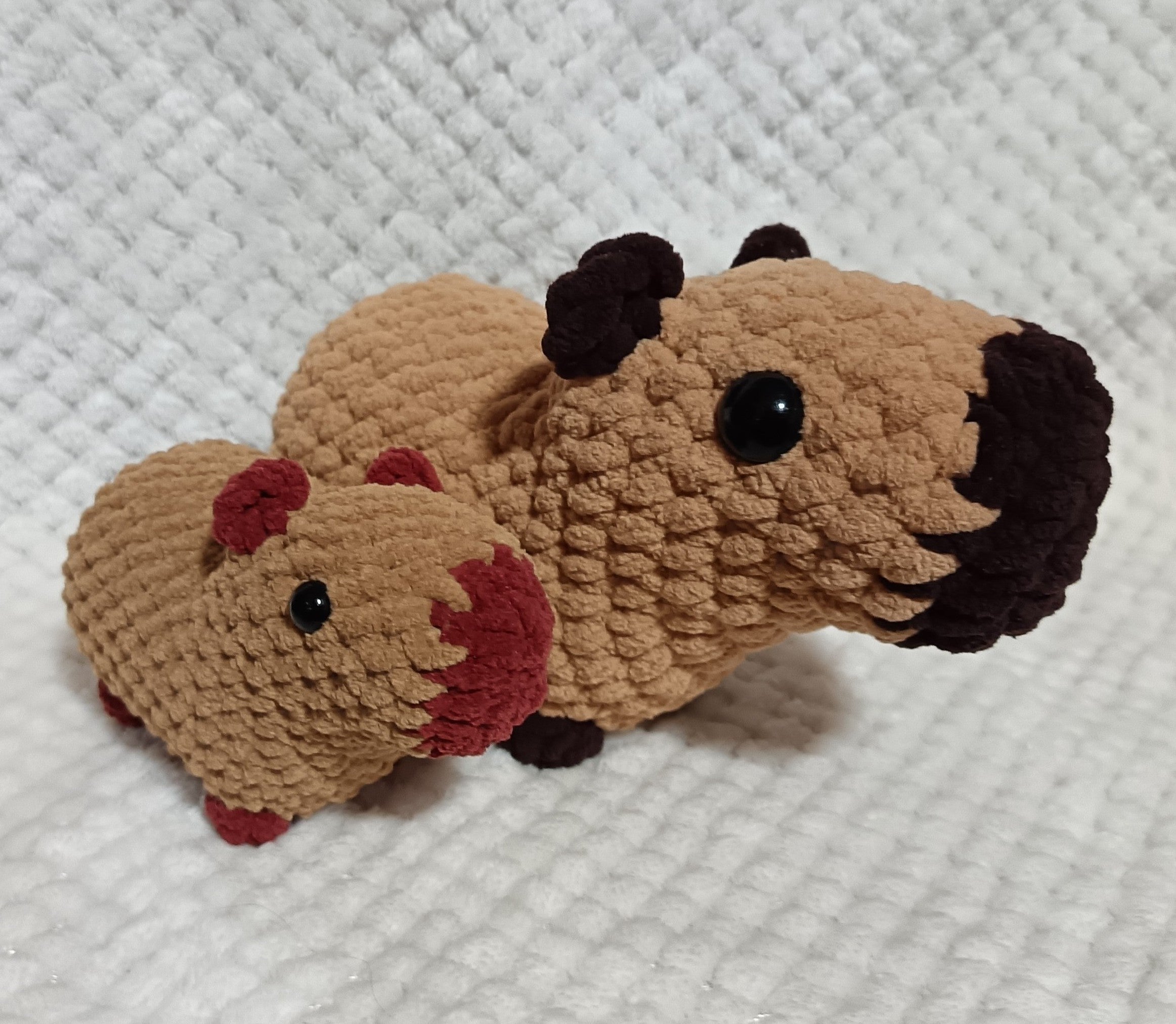 Capybara marron