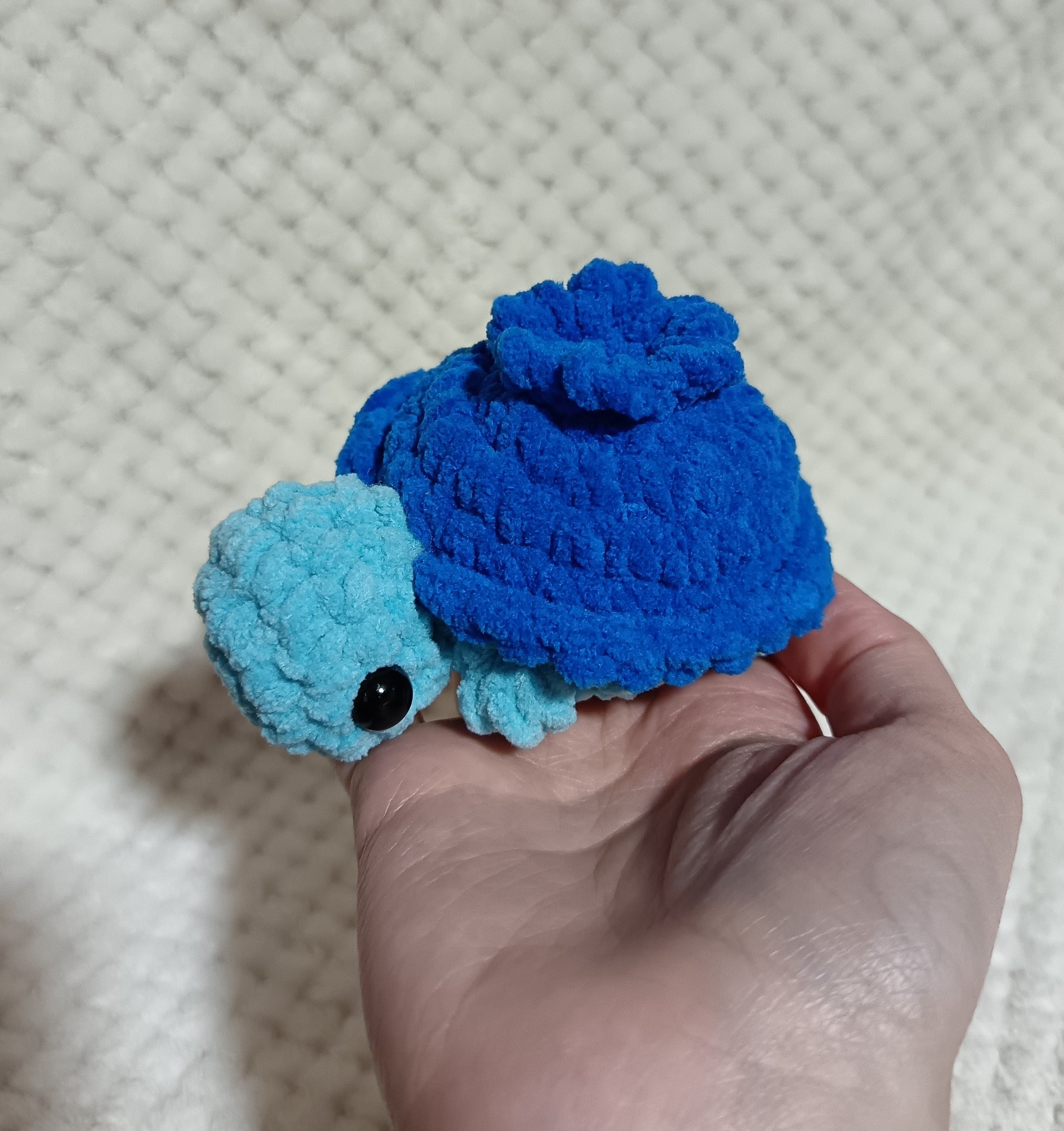 Mini Tortues Fruits