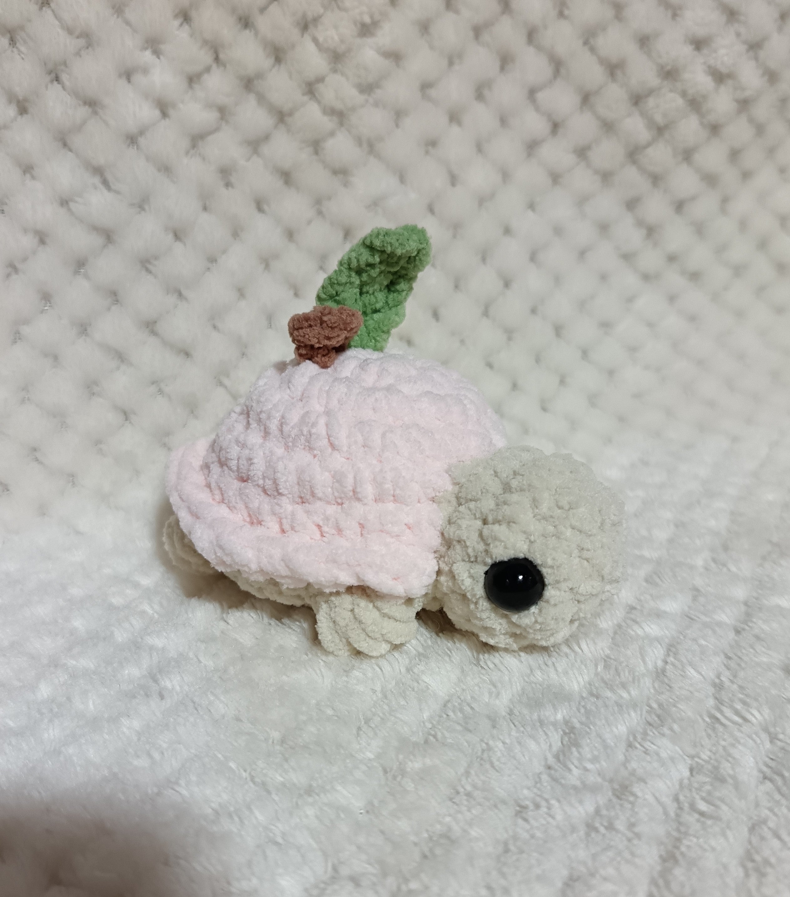 Mini Tortues Fruits