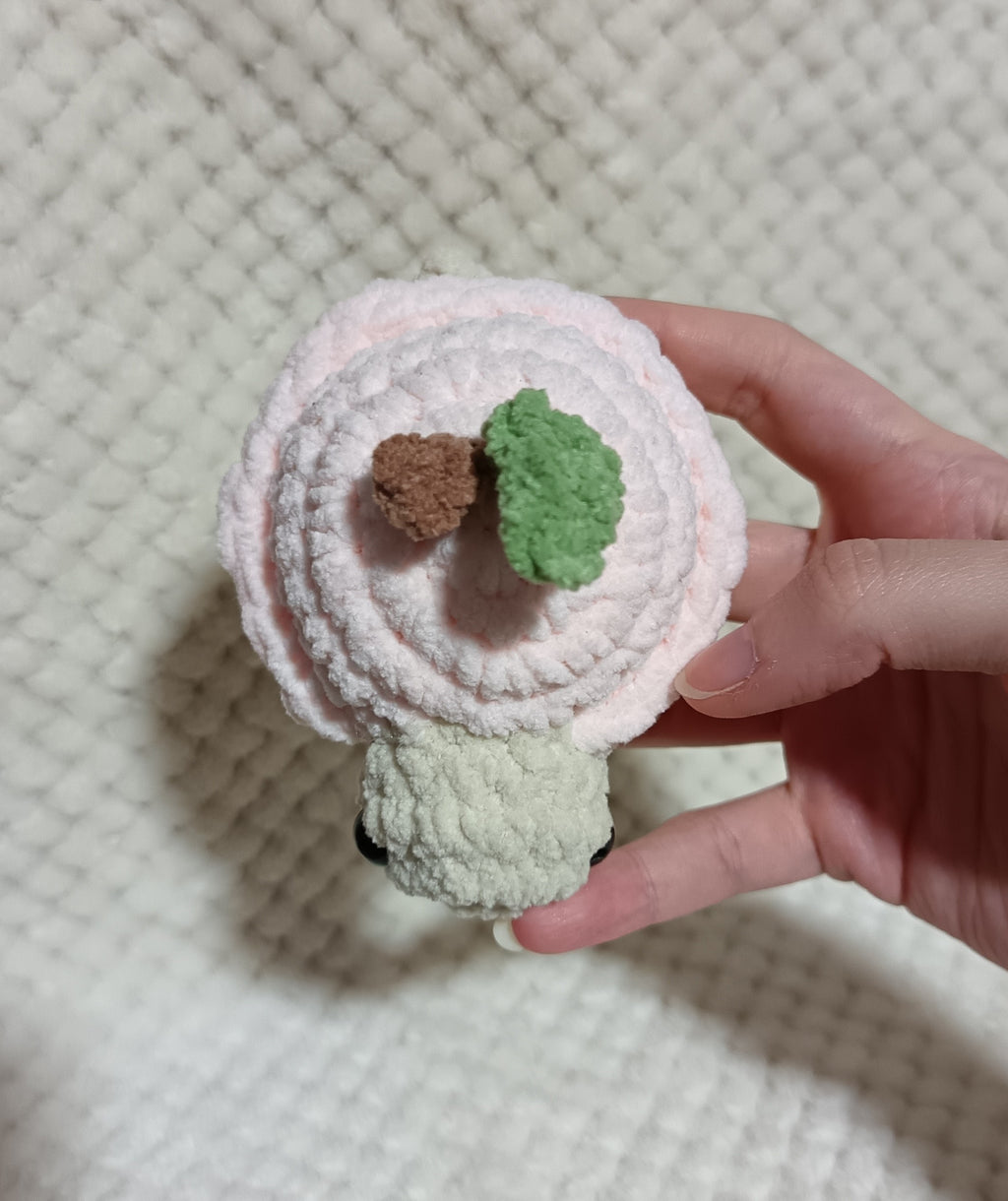 Mini Tortues Fruits