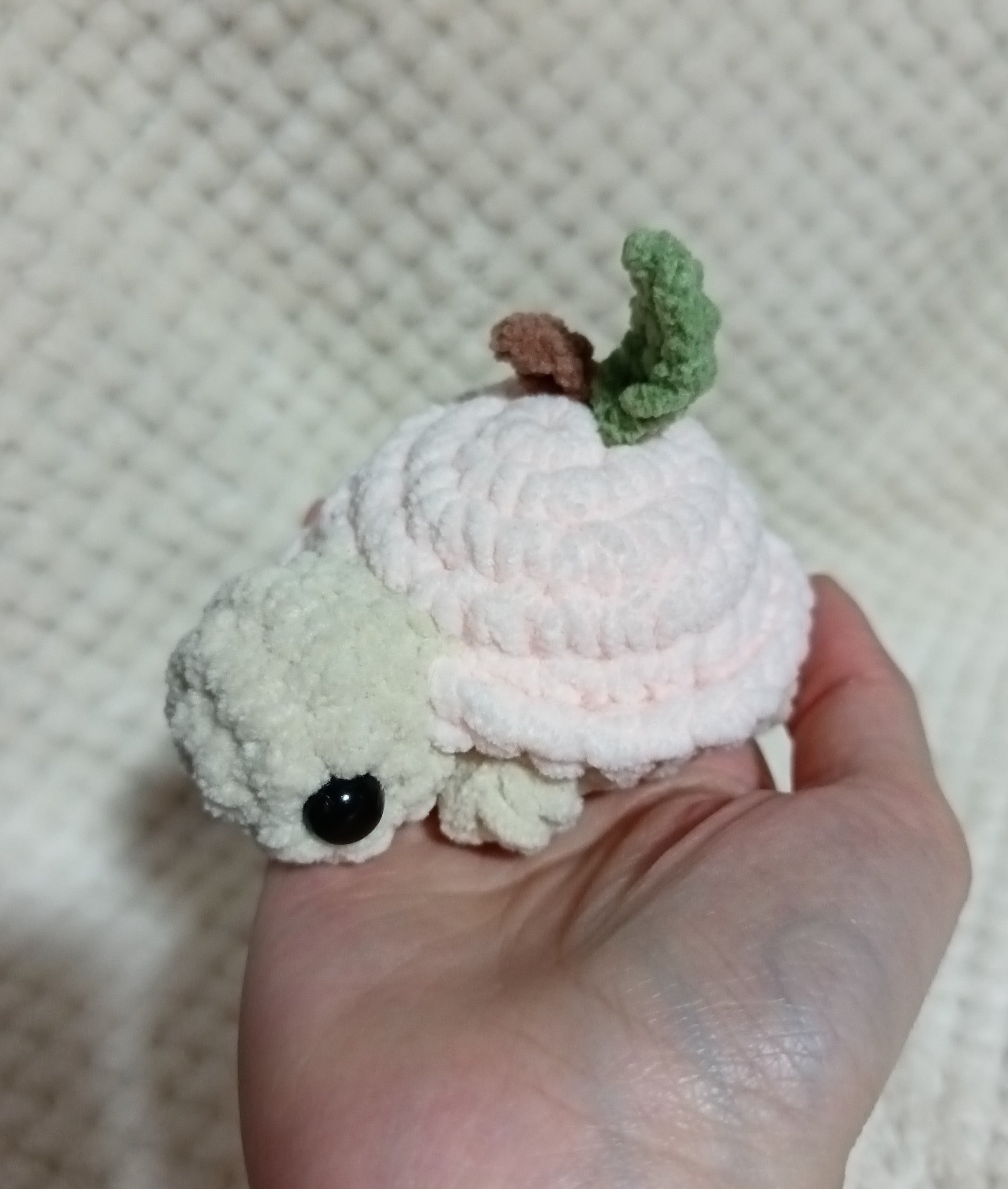 Mini Tortues Fruits