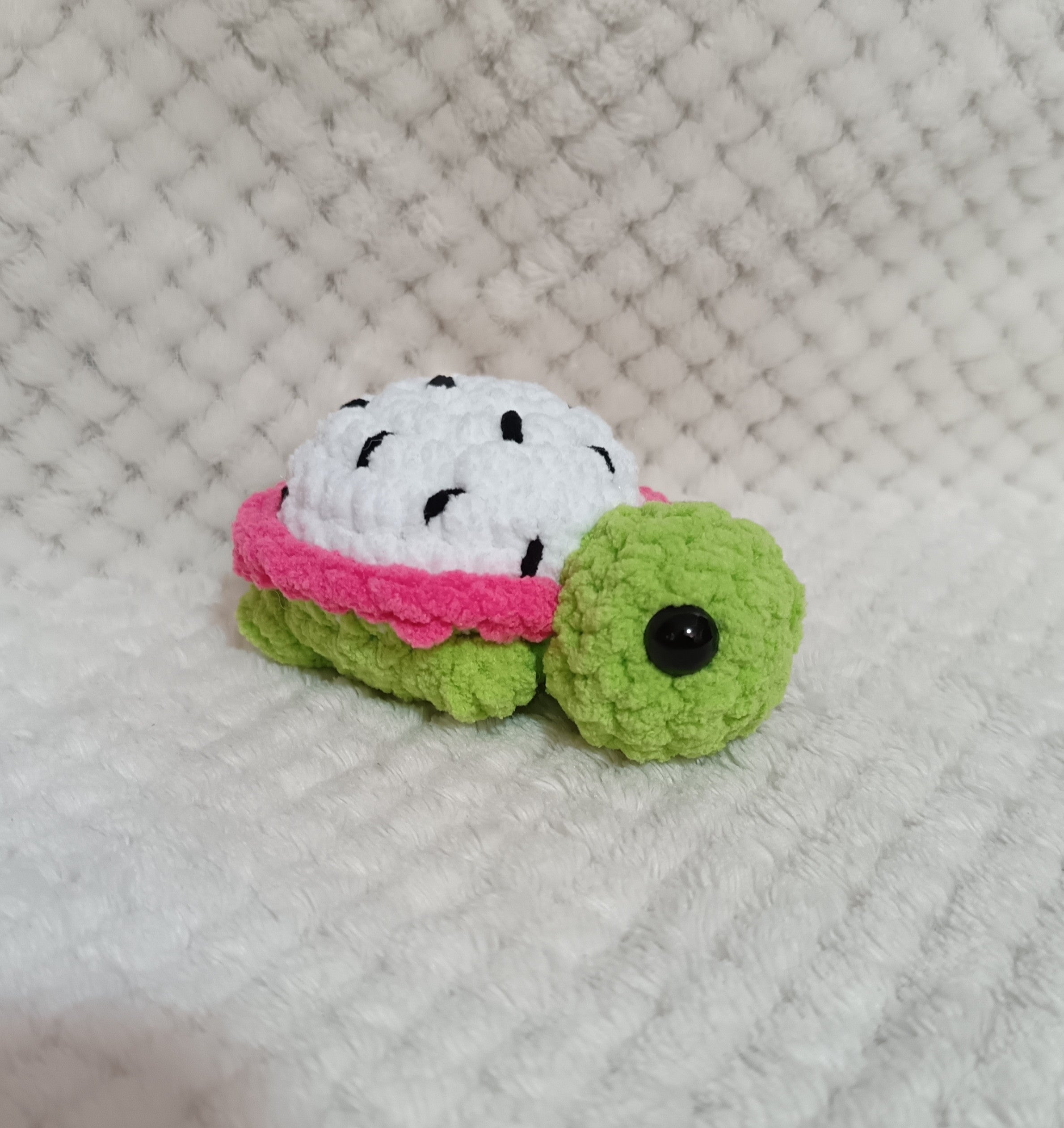 Mini Tortues Fruits