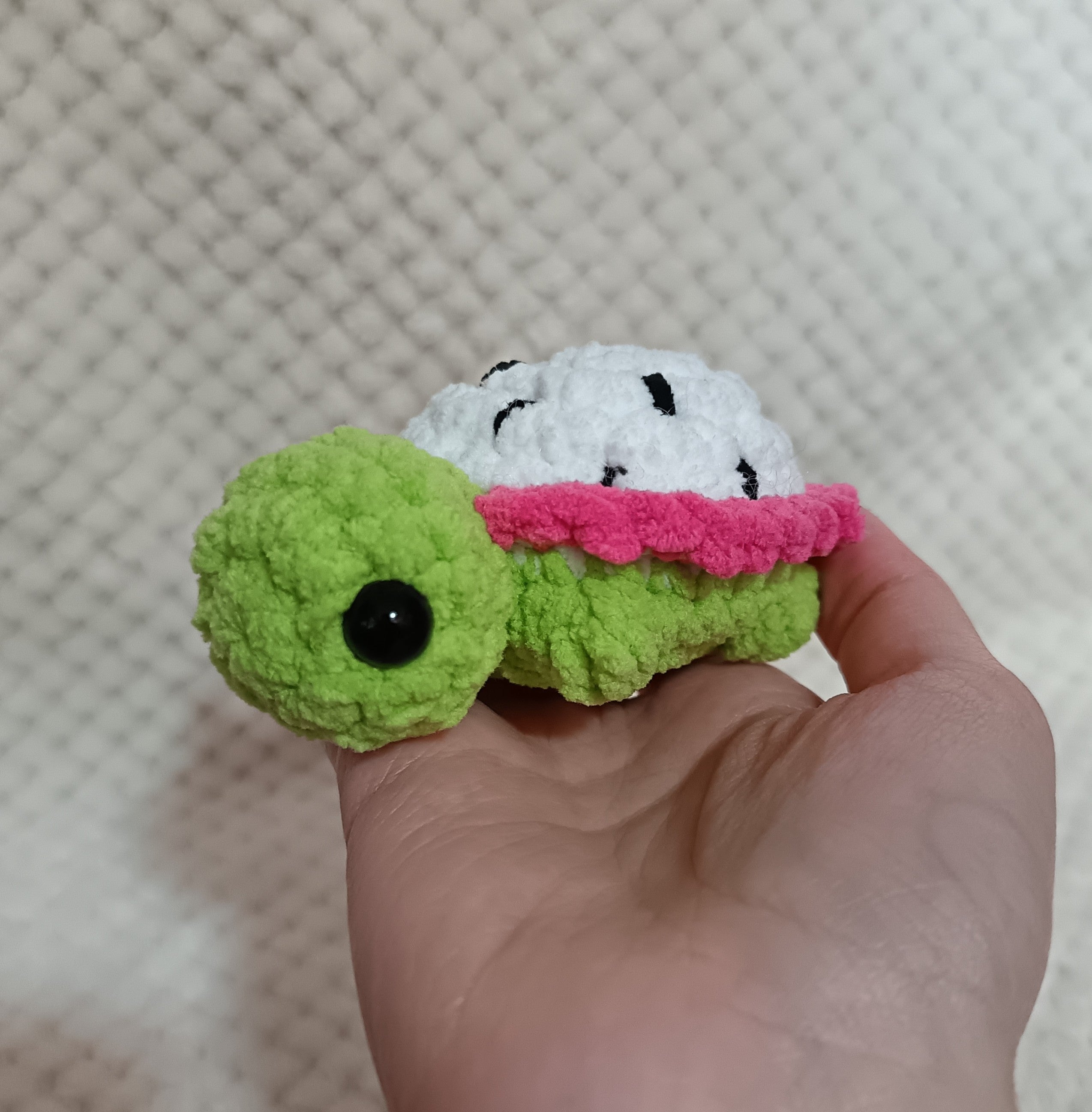 Mini Tortues Fruits