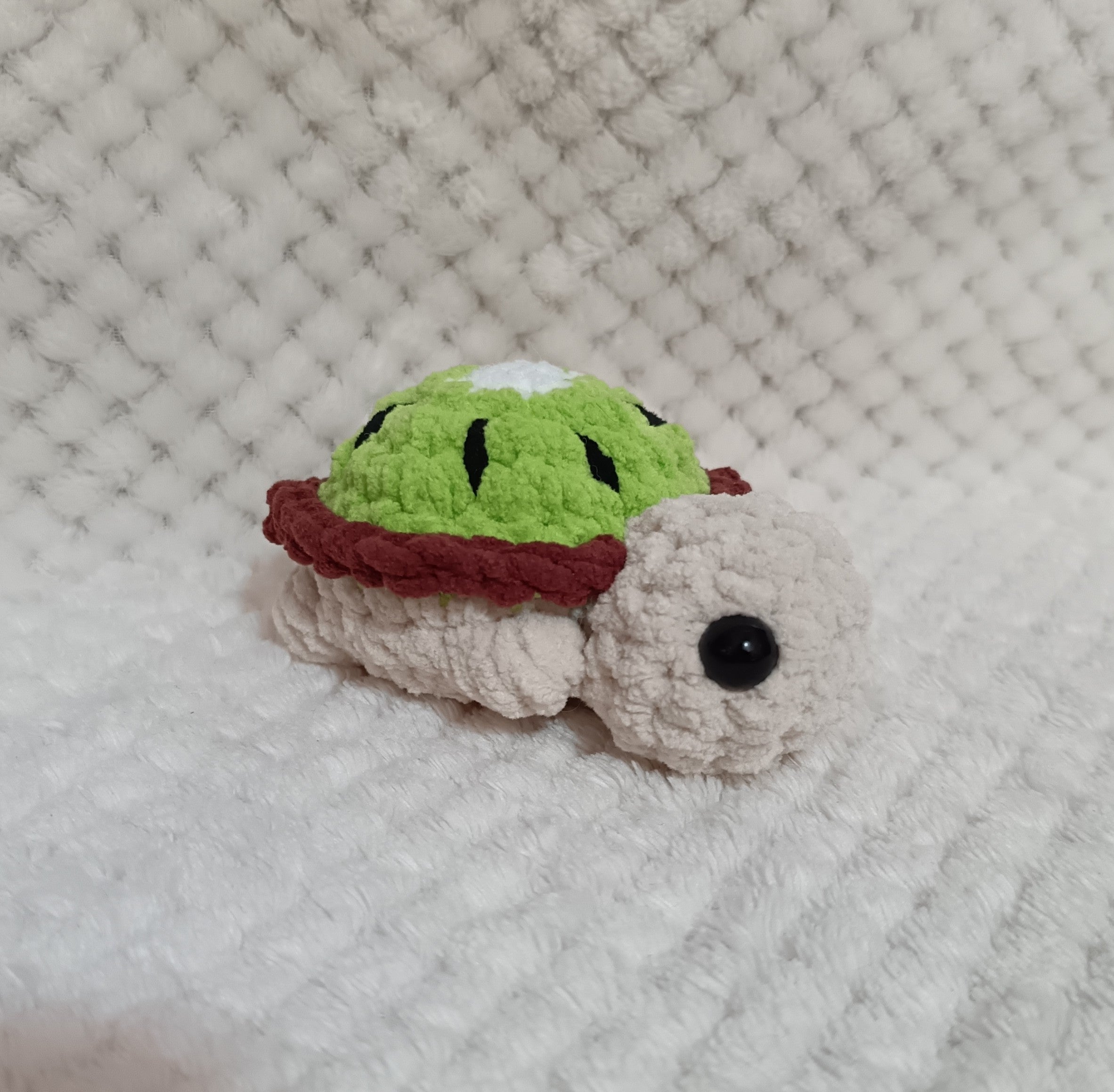 Mini Tortues Fruits