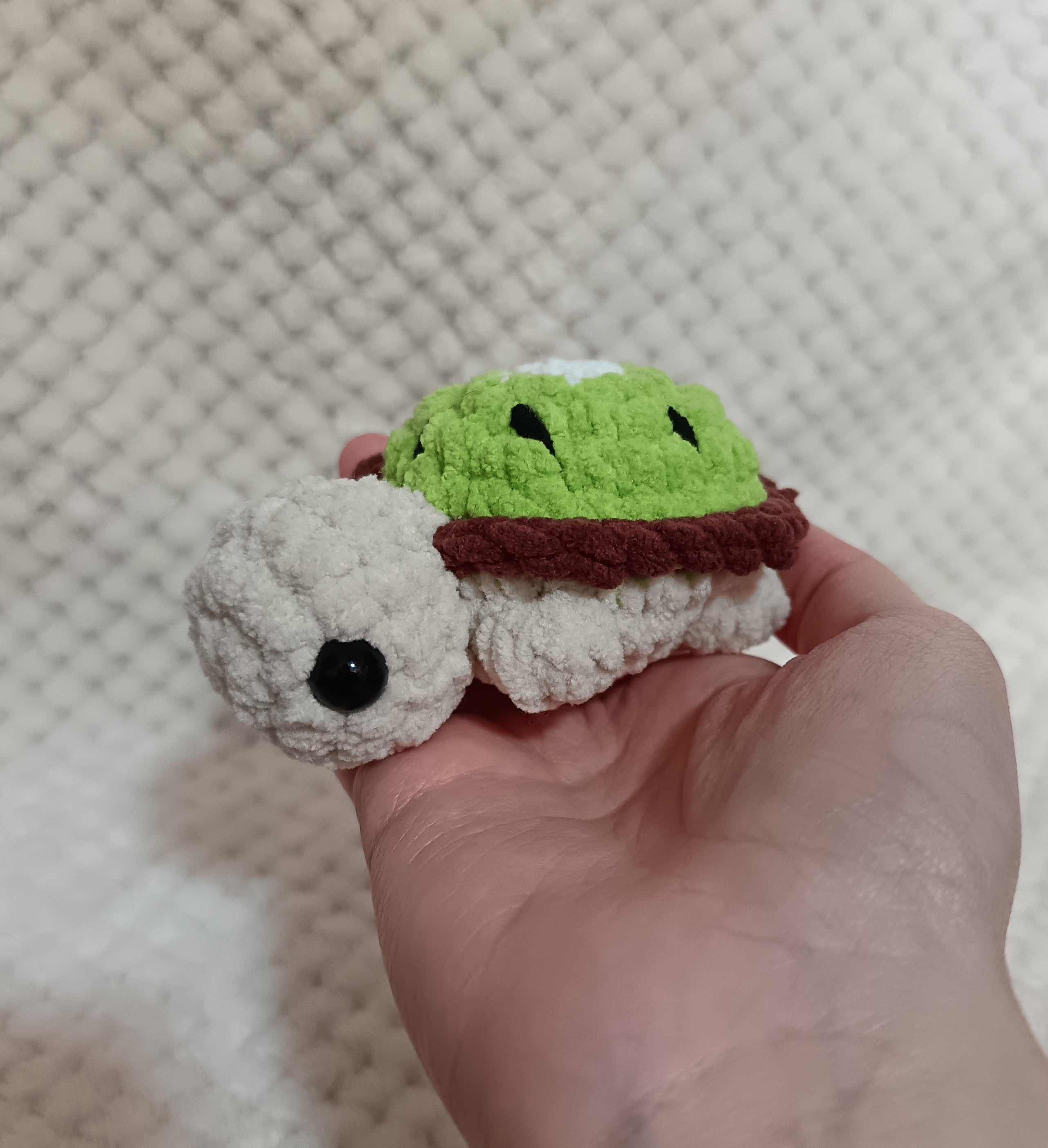 Mini Tortues Fruits
