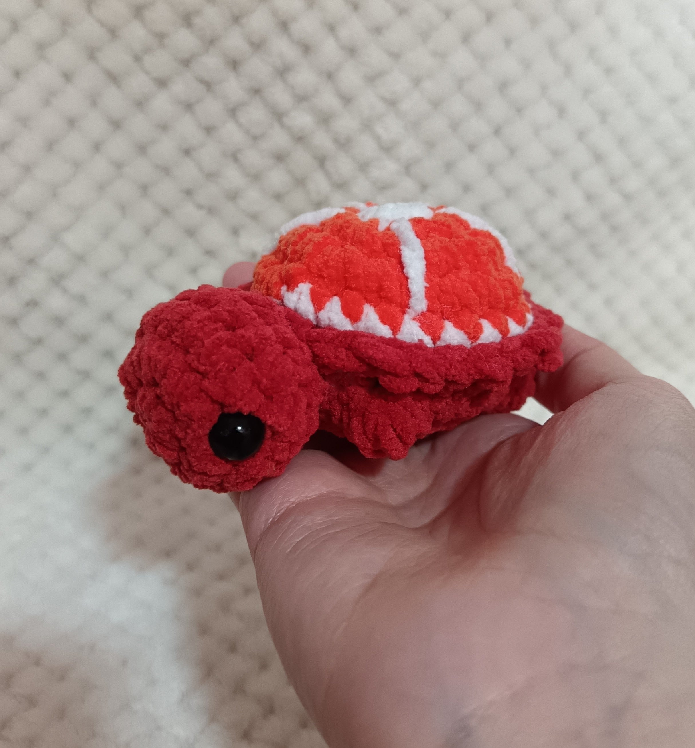 Mini Tortues Fruits
