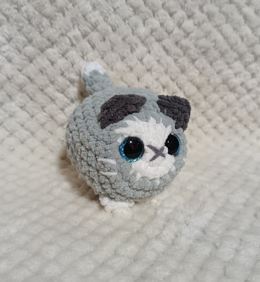Chat boule gris et blanc