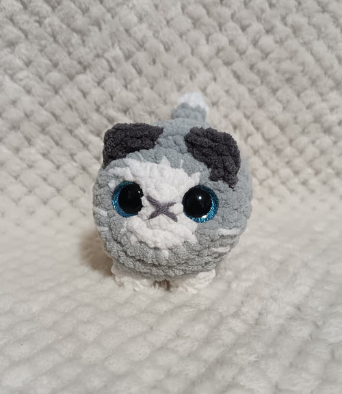 Chat boule gris et blanc