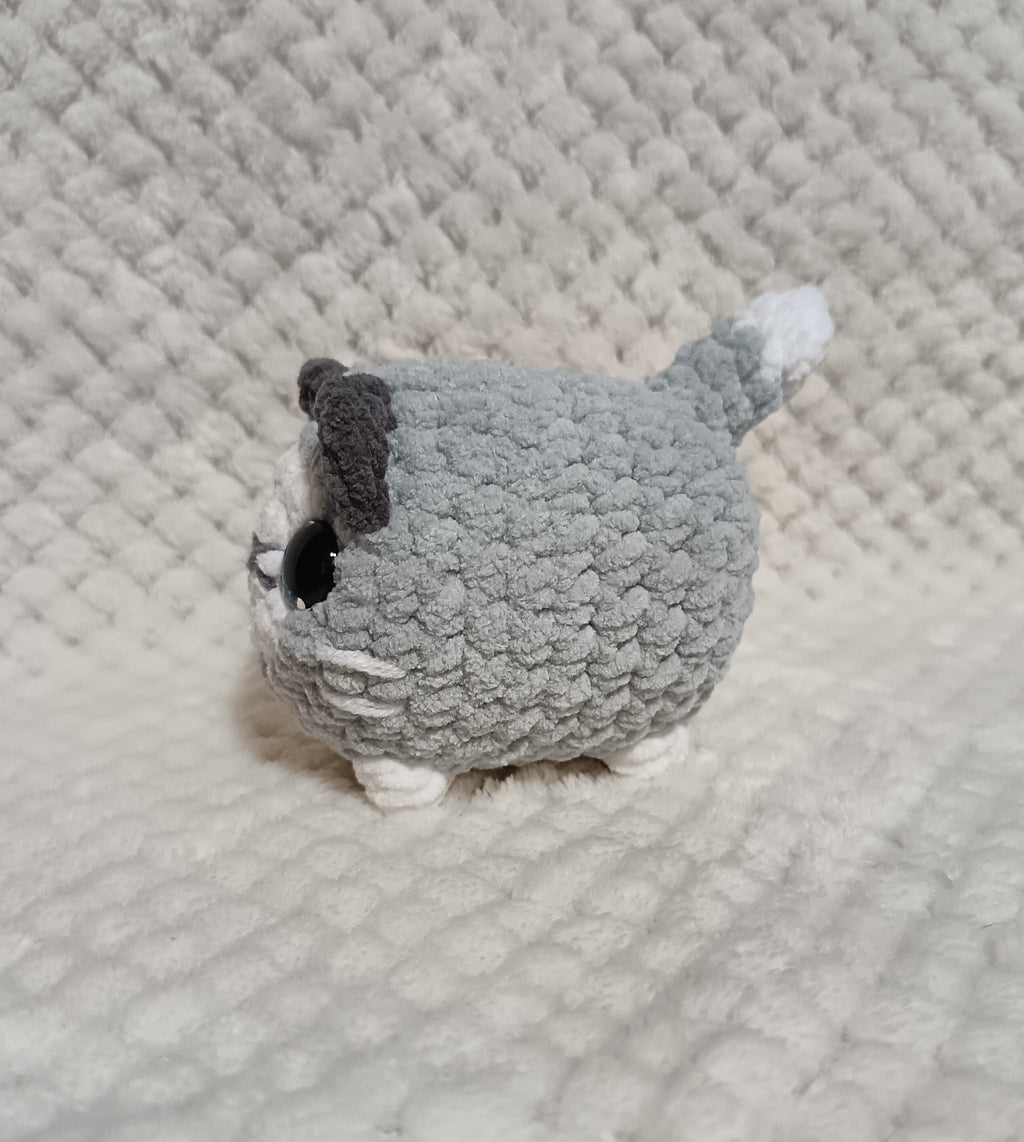 Chat boule gris et blanc