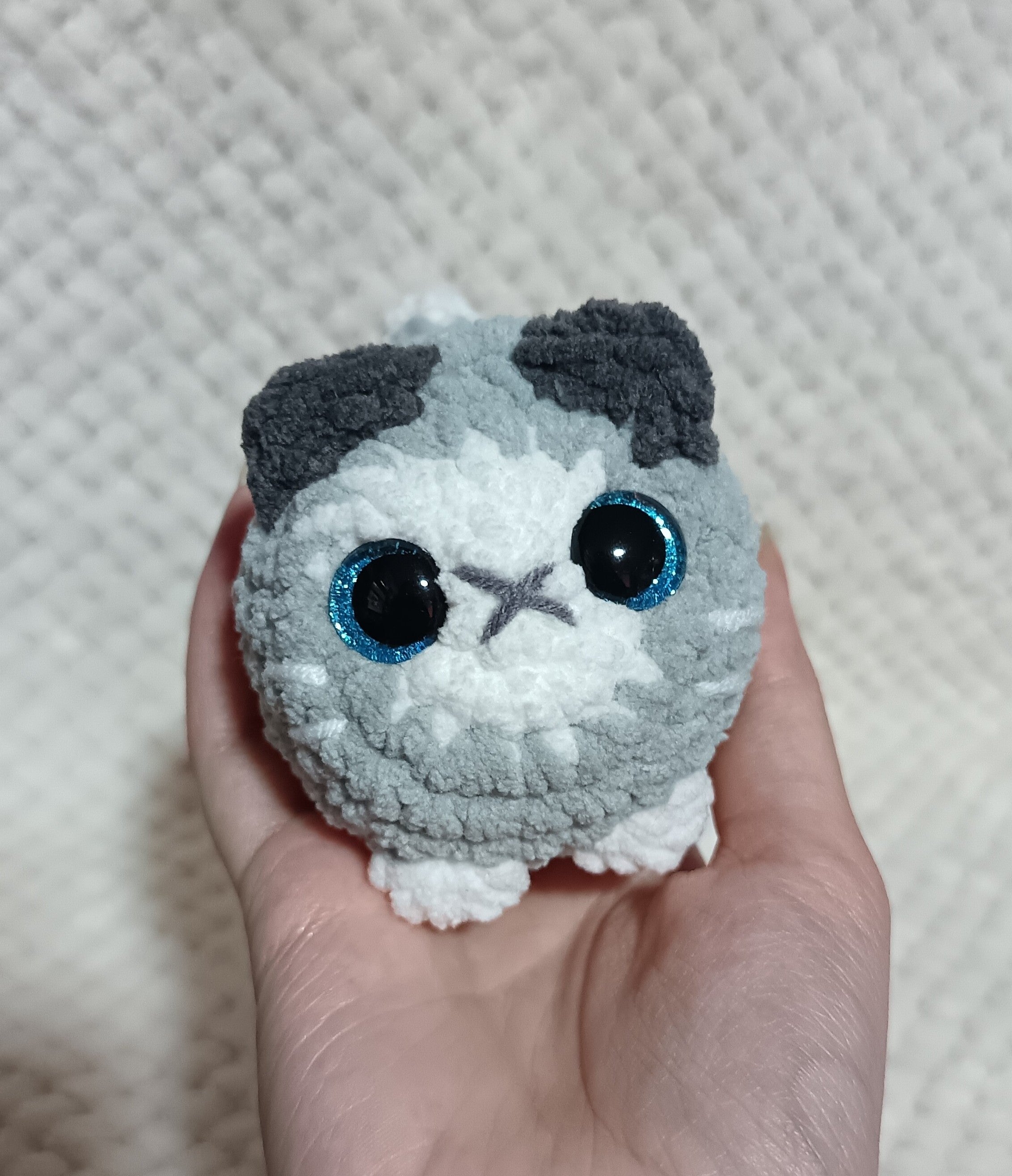 Chat boule gris et blanc