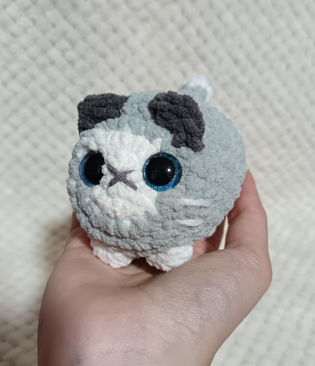 Chat boule gris et blanc