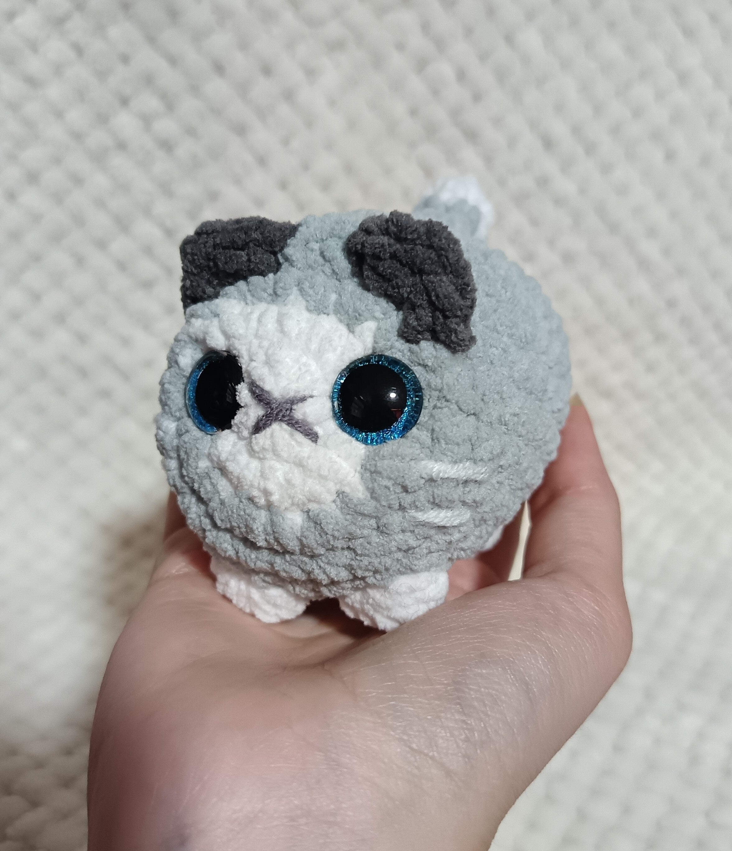 Chat boule gris et blanc