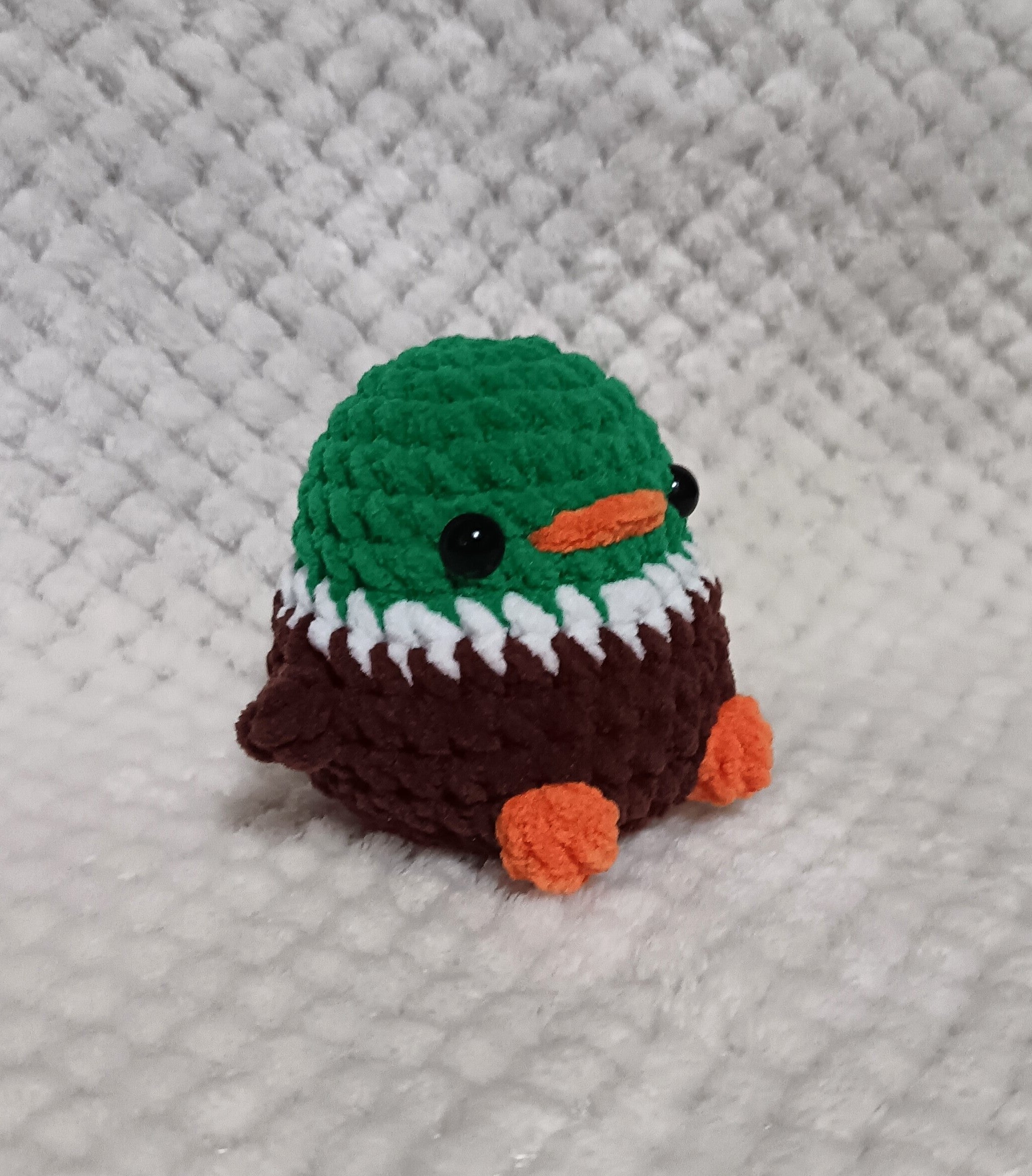 Petit Colvert