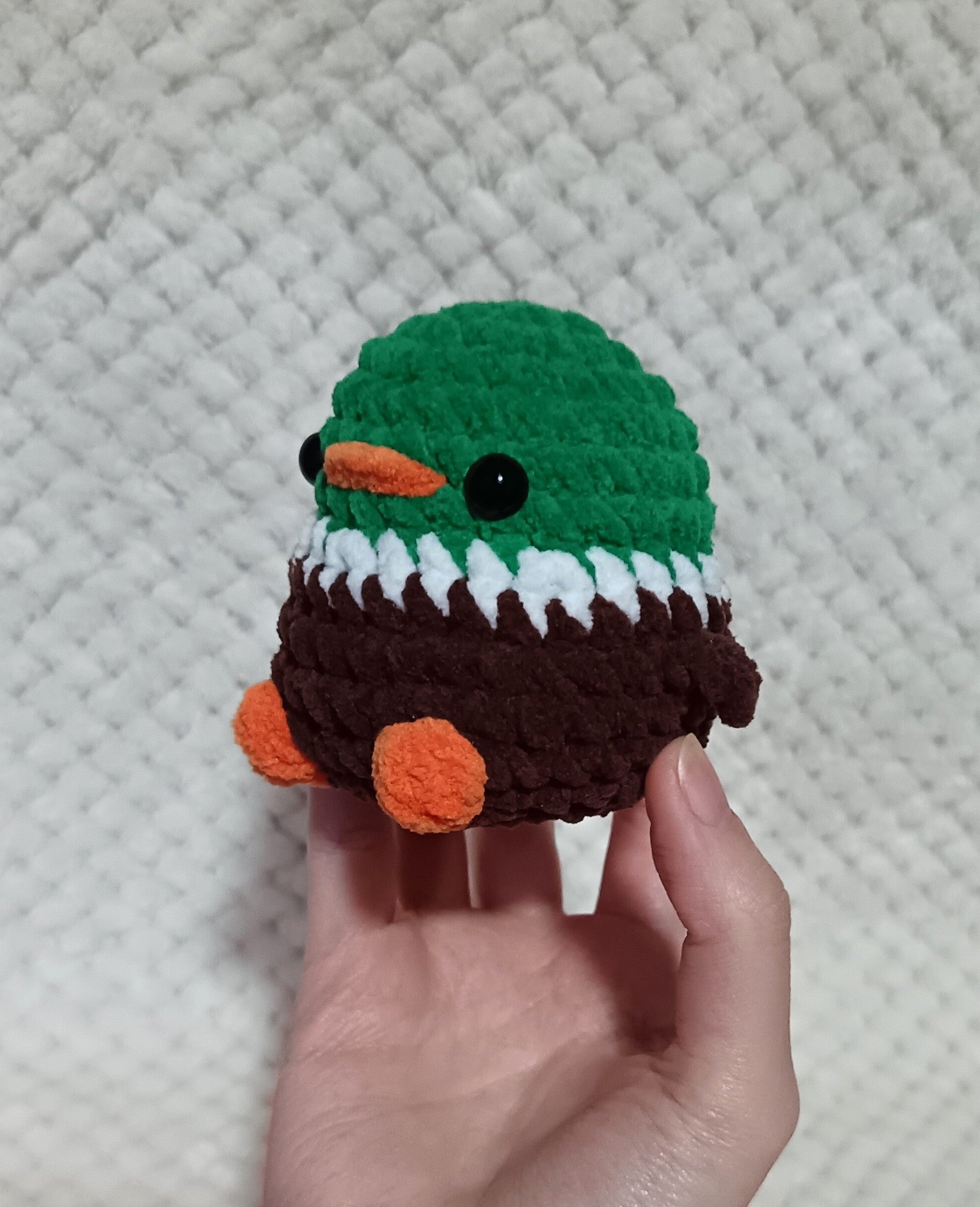 Petit Colvert