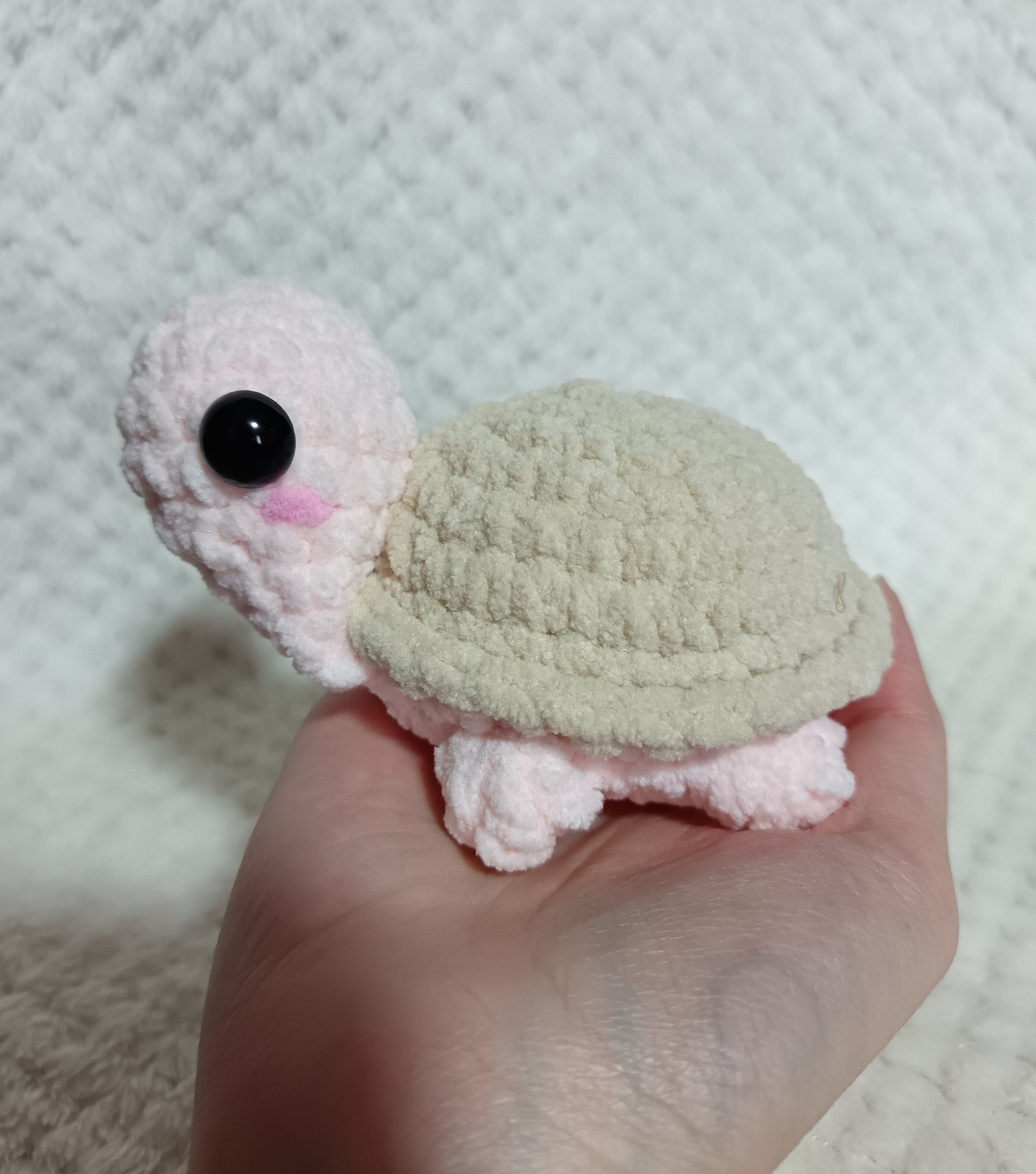 Tofue la tortue