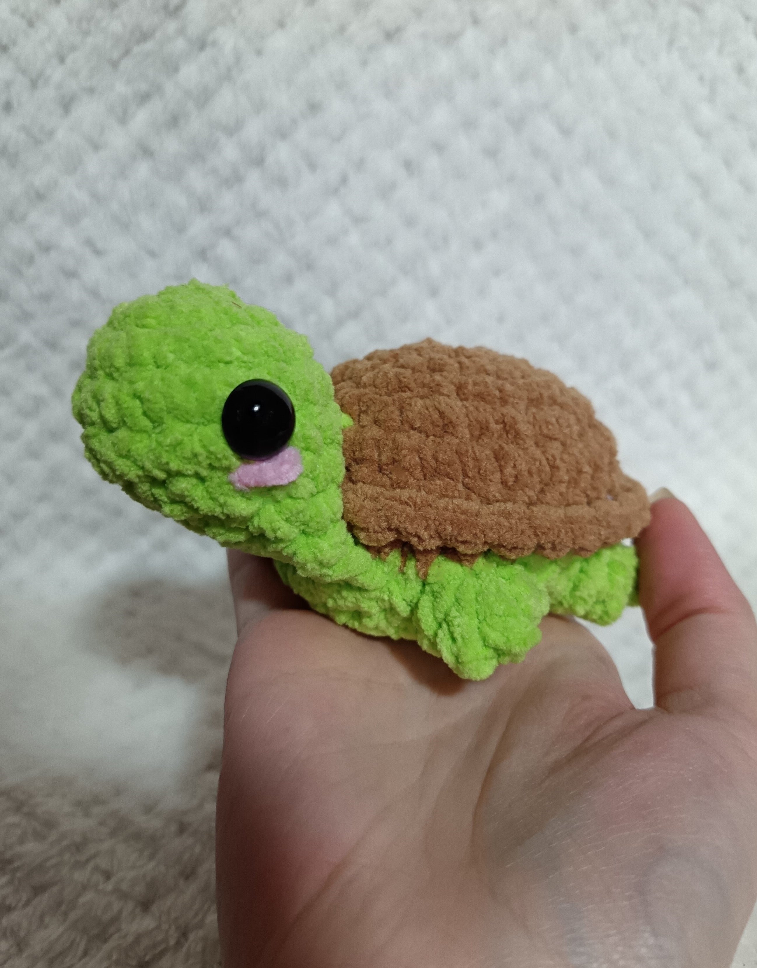 Tofue la tortue