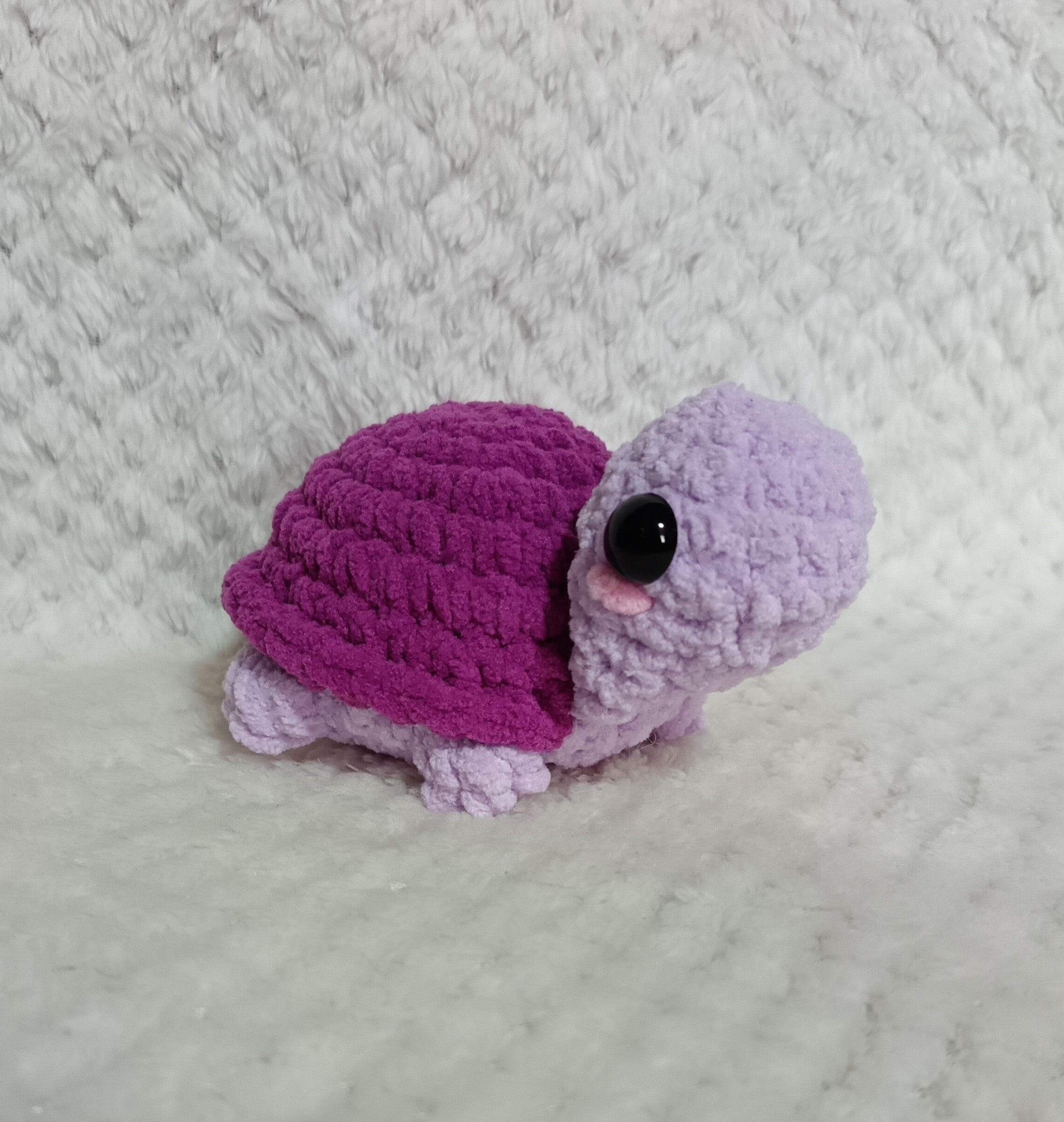 Tofue la tortue