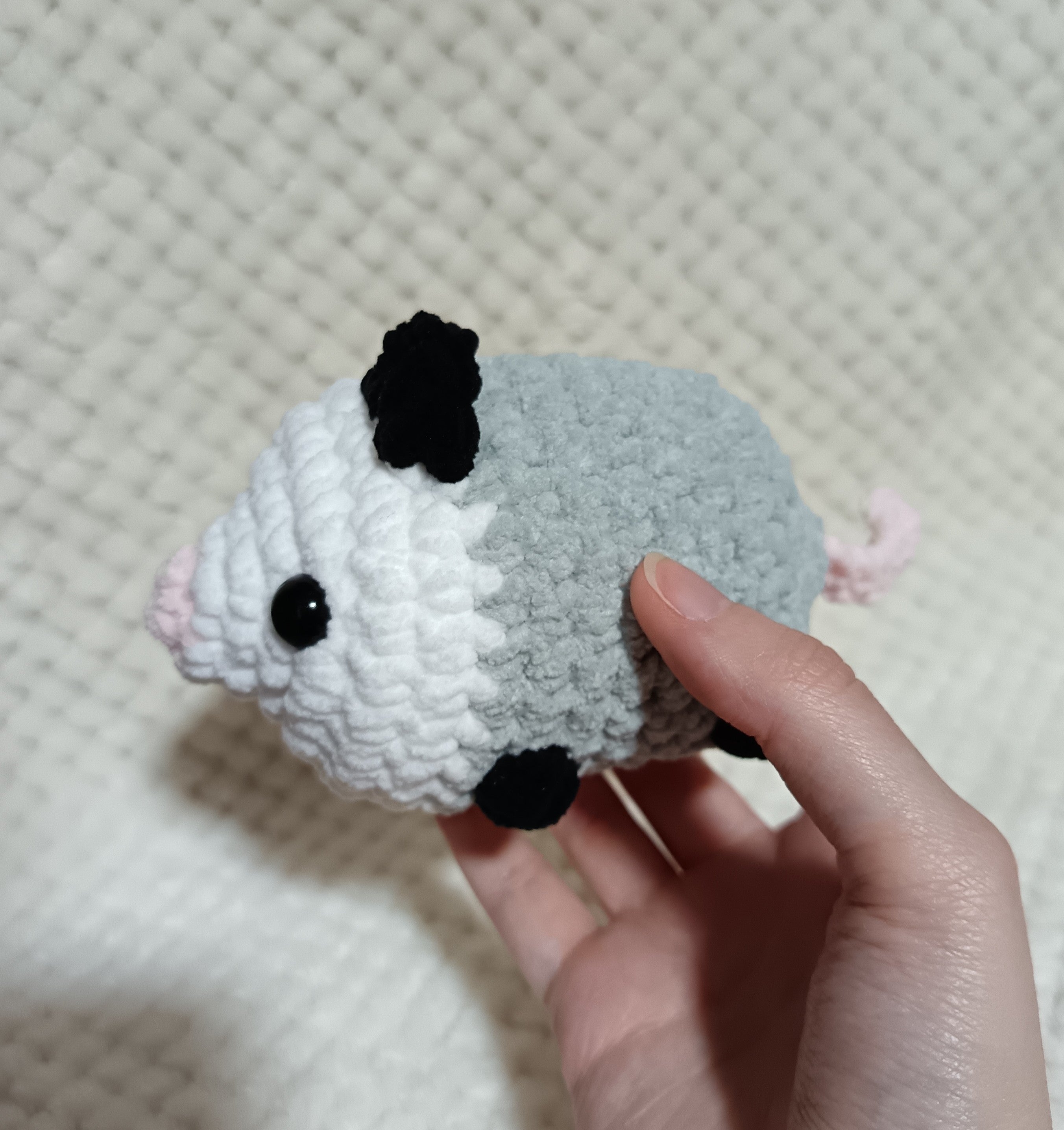 Petit Opossum