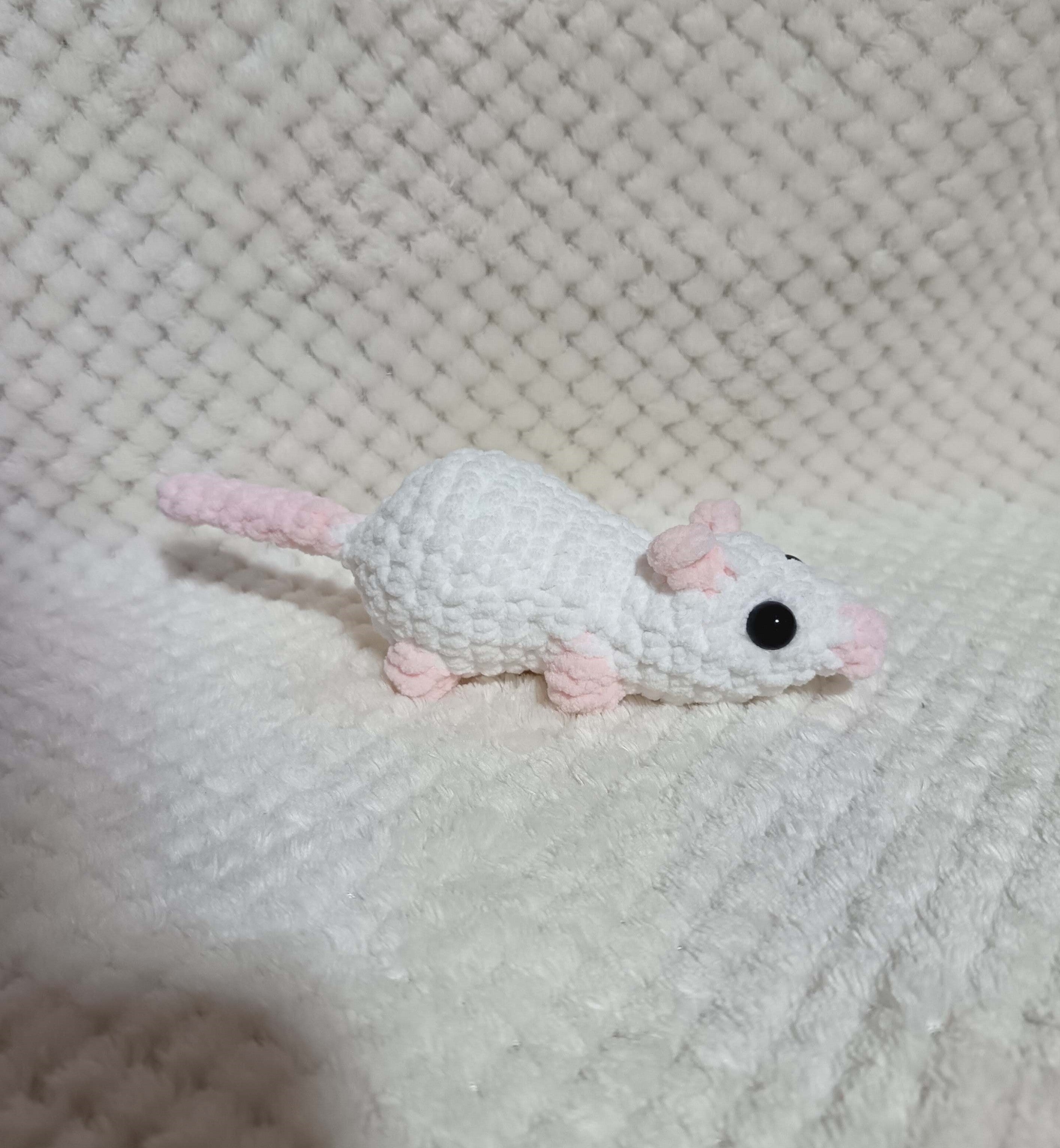 Petit rat