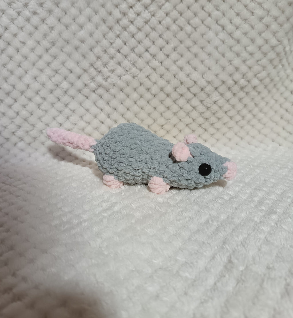 Petit rat
