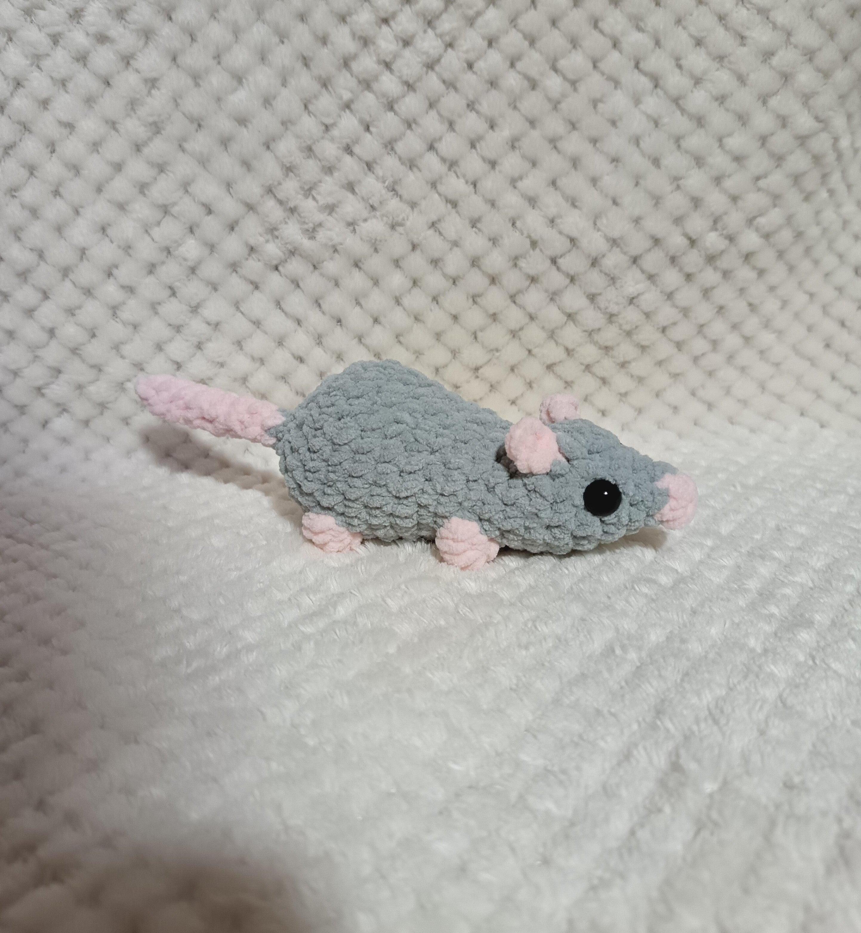 Petit rat