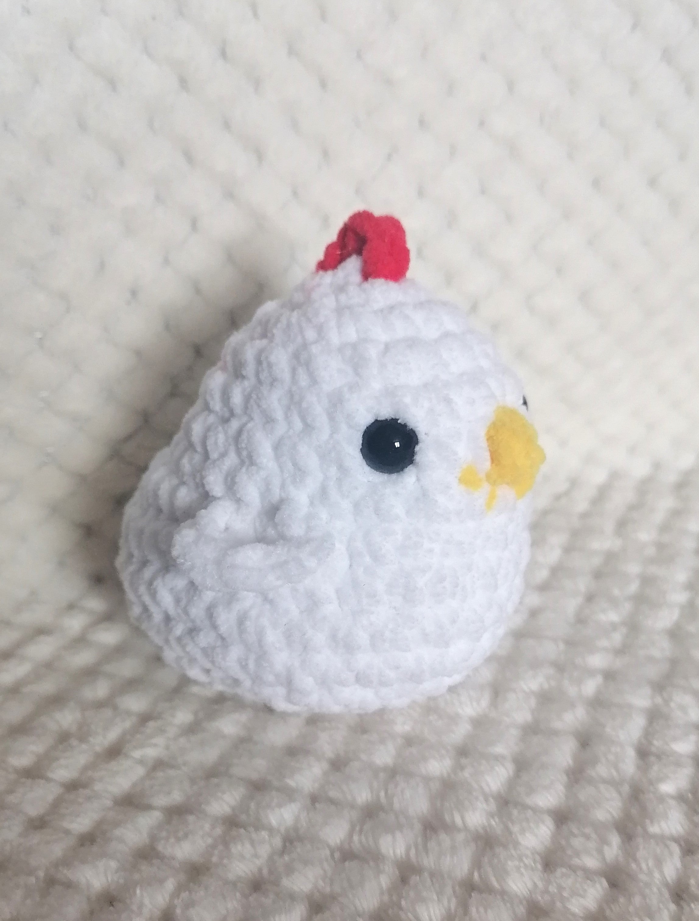 Famille Poule et ses Poussins