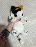 Doudou Tofu le Chat