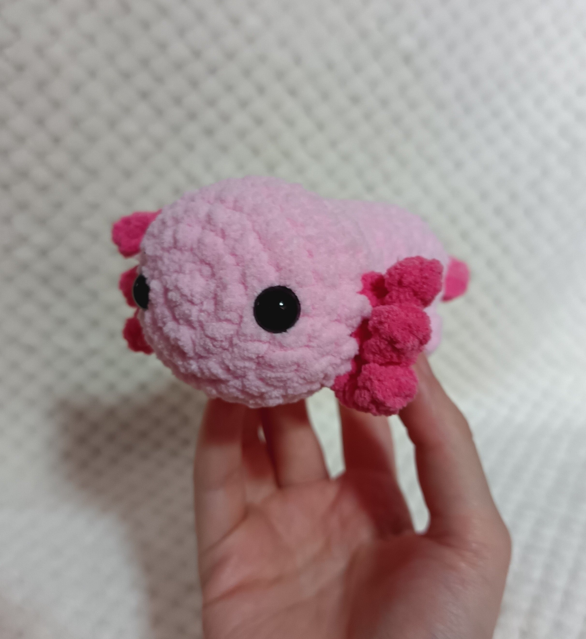 Axolotl