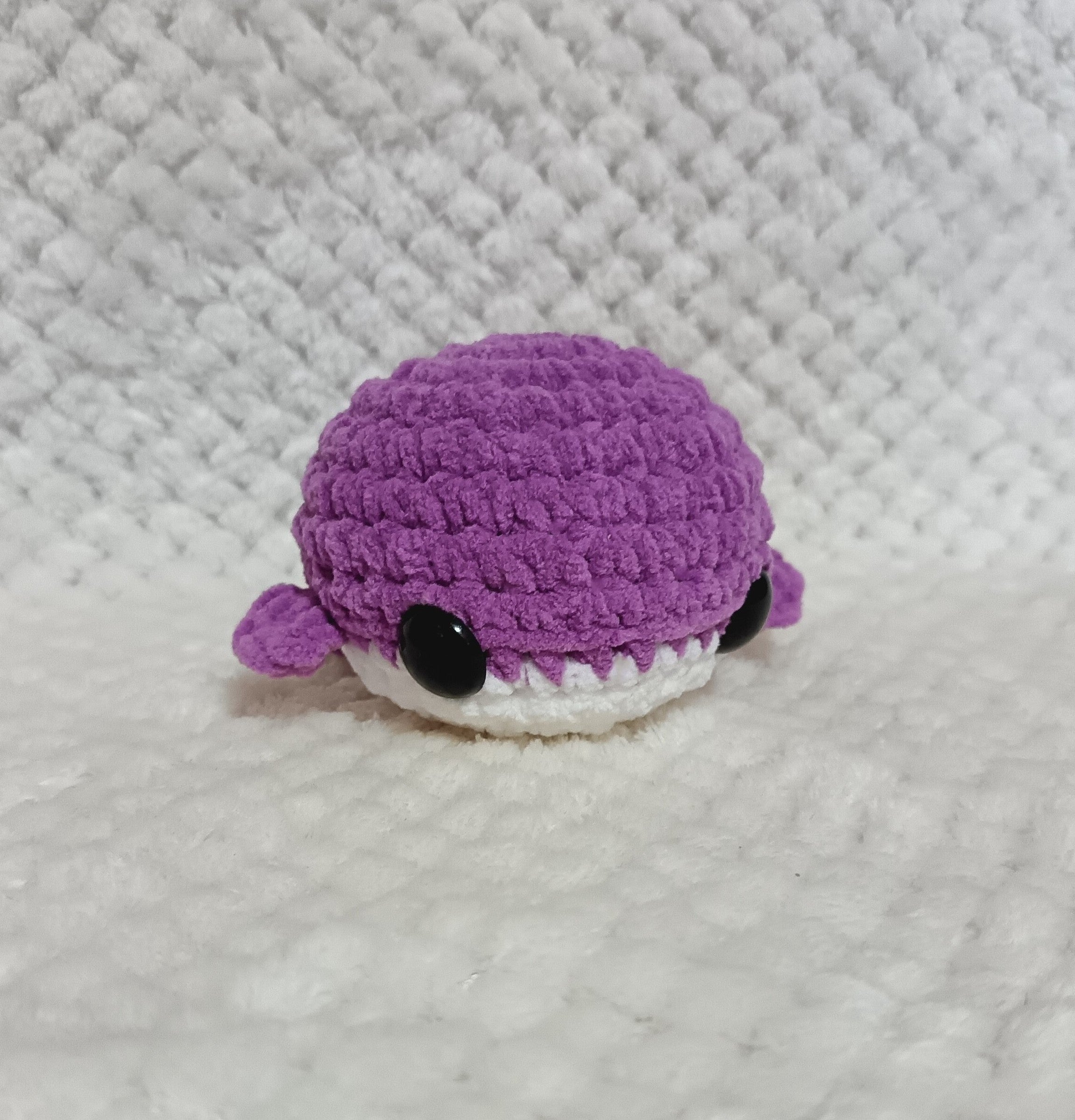 Petite Baleine