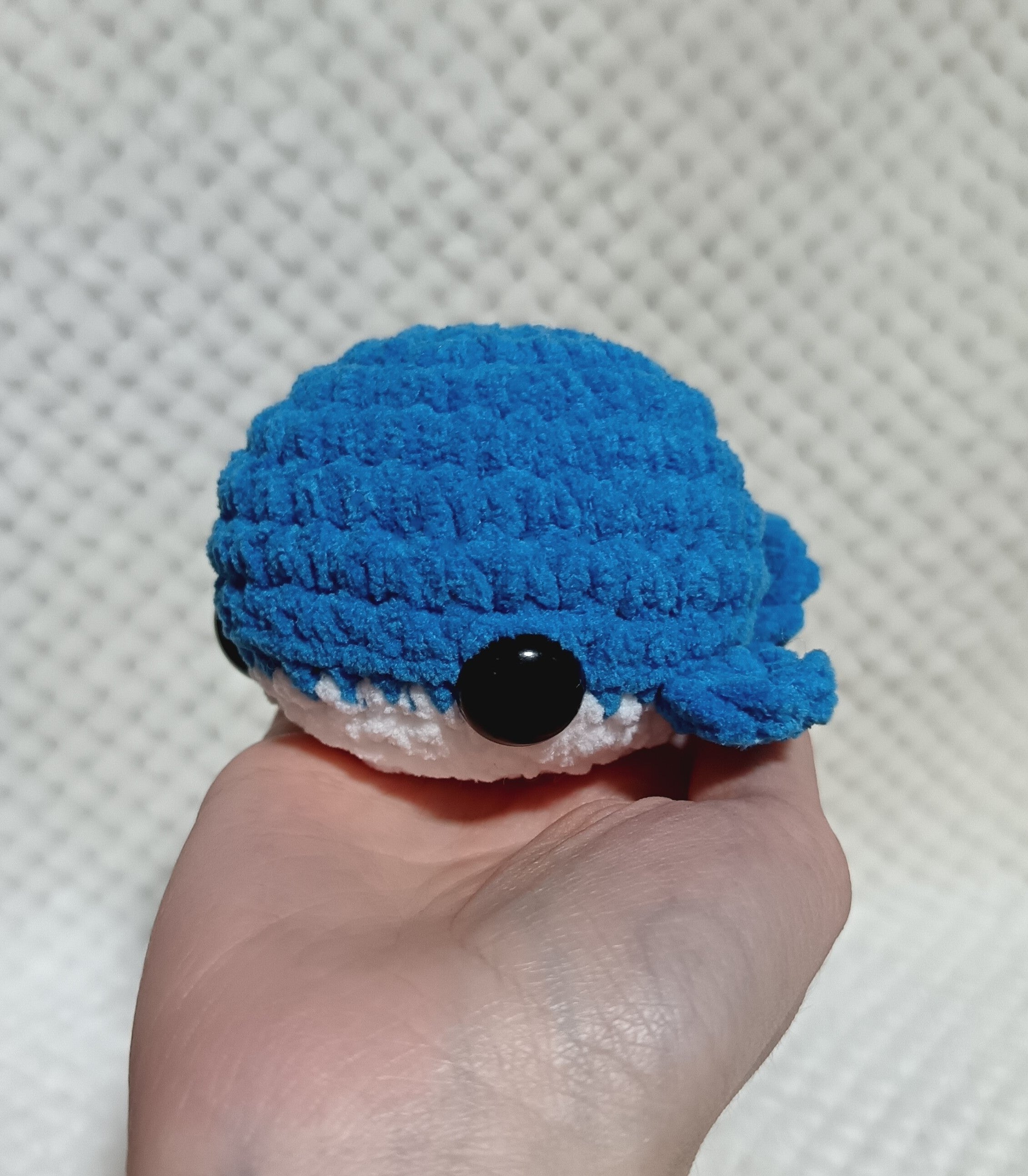 Petite Baleine
