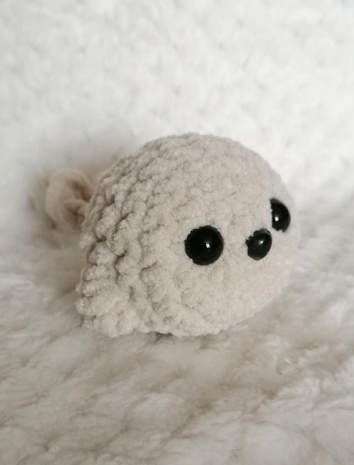 Bébé Phoque