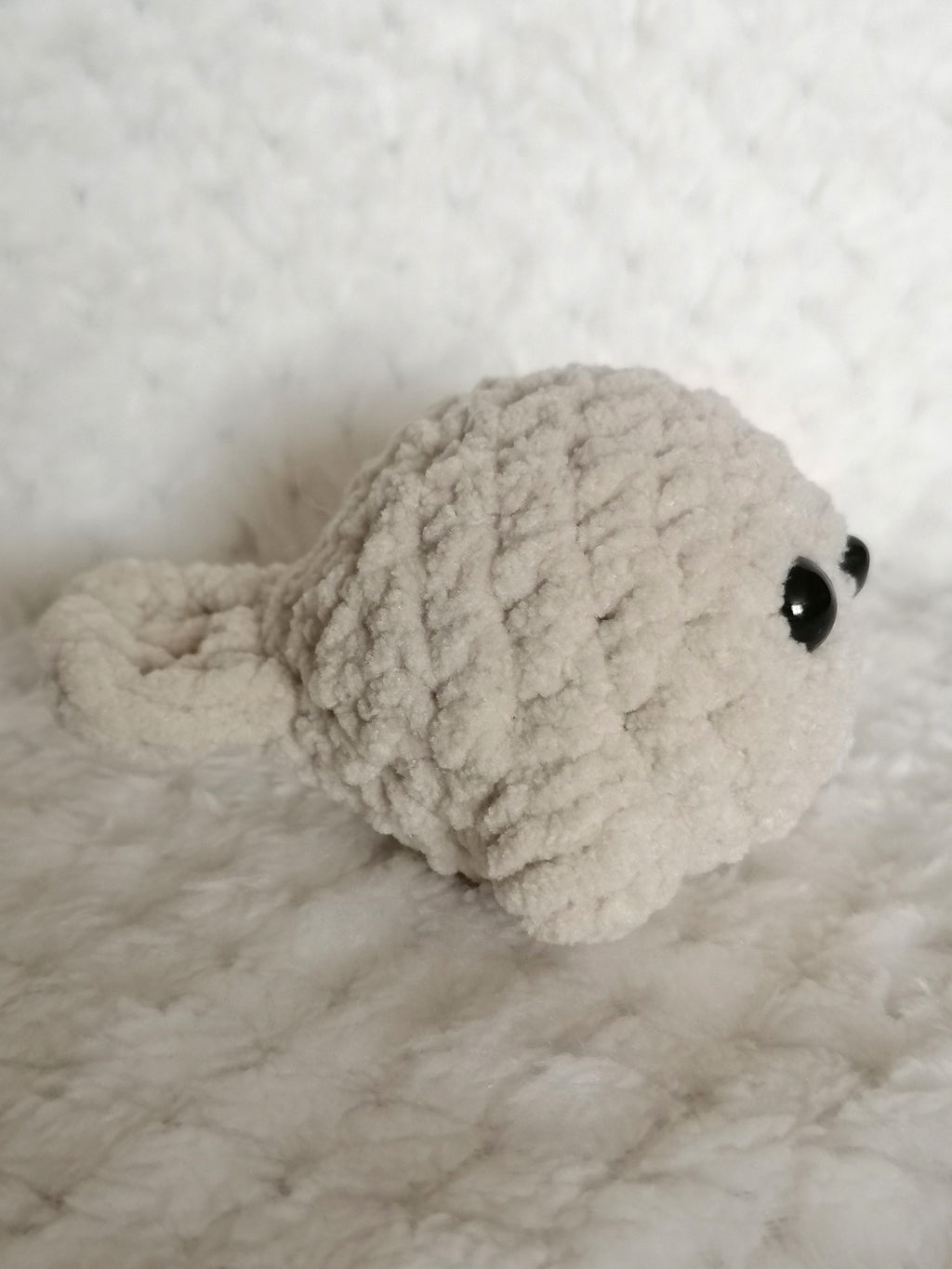 Bébé Phoque