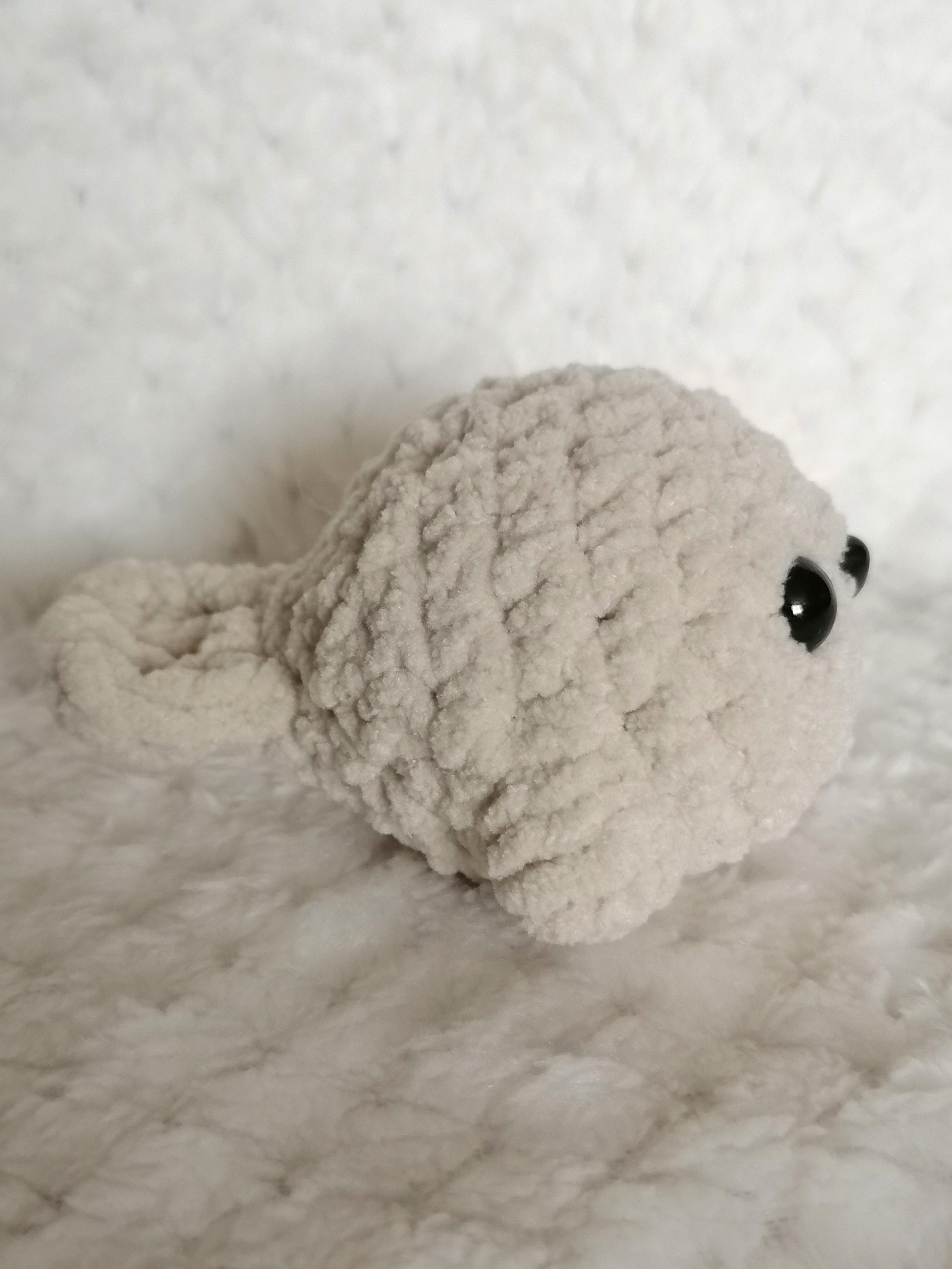 Bébé Phoque