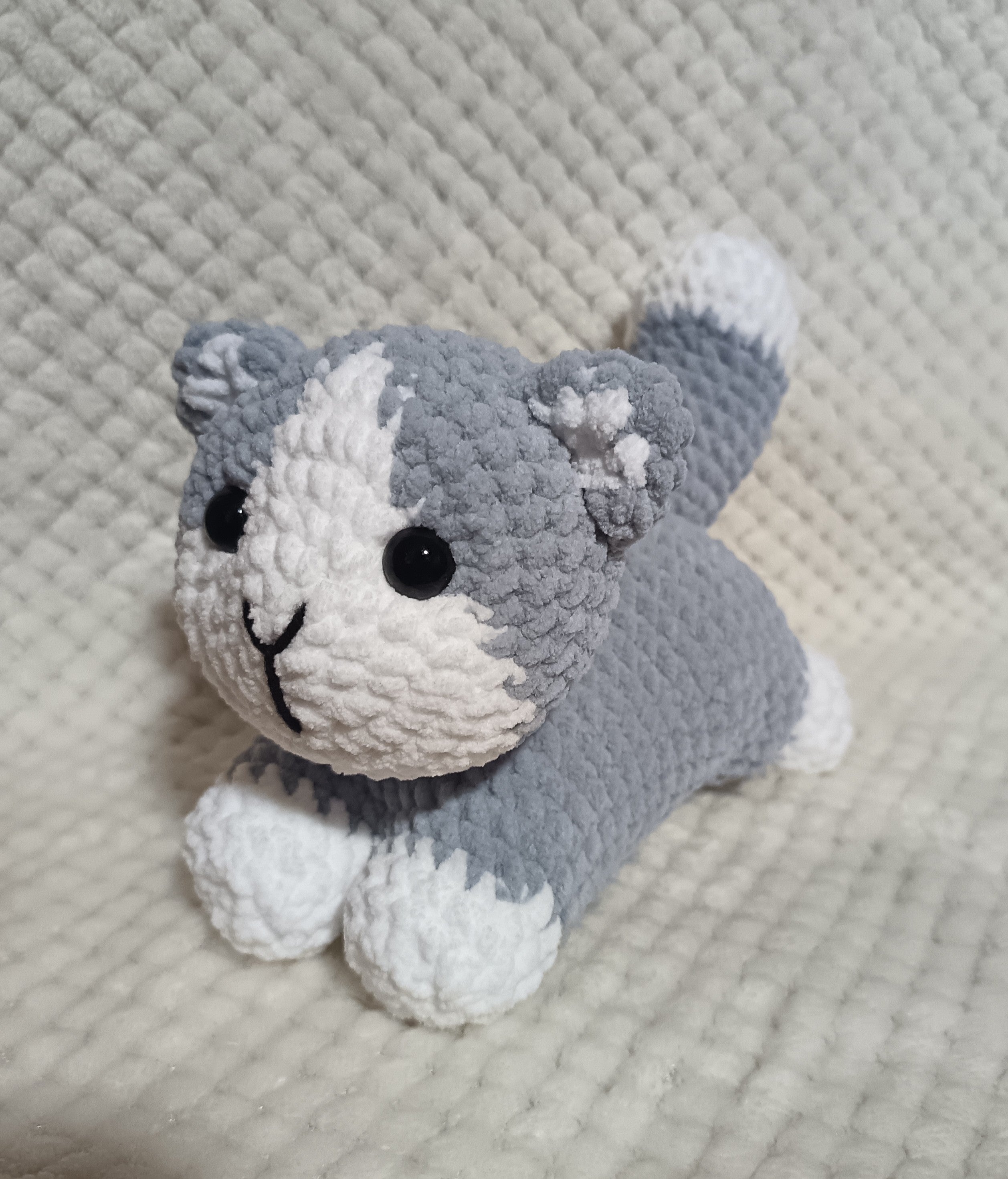 Chaton allongé gris et blanc