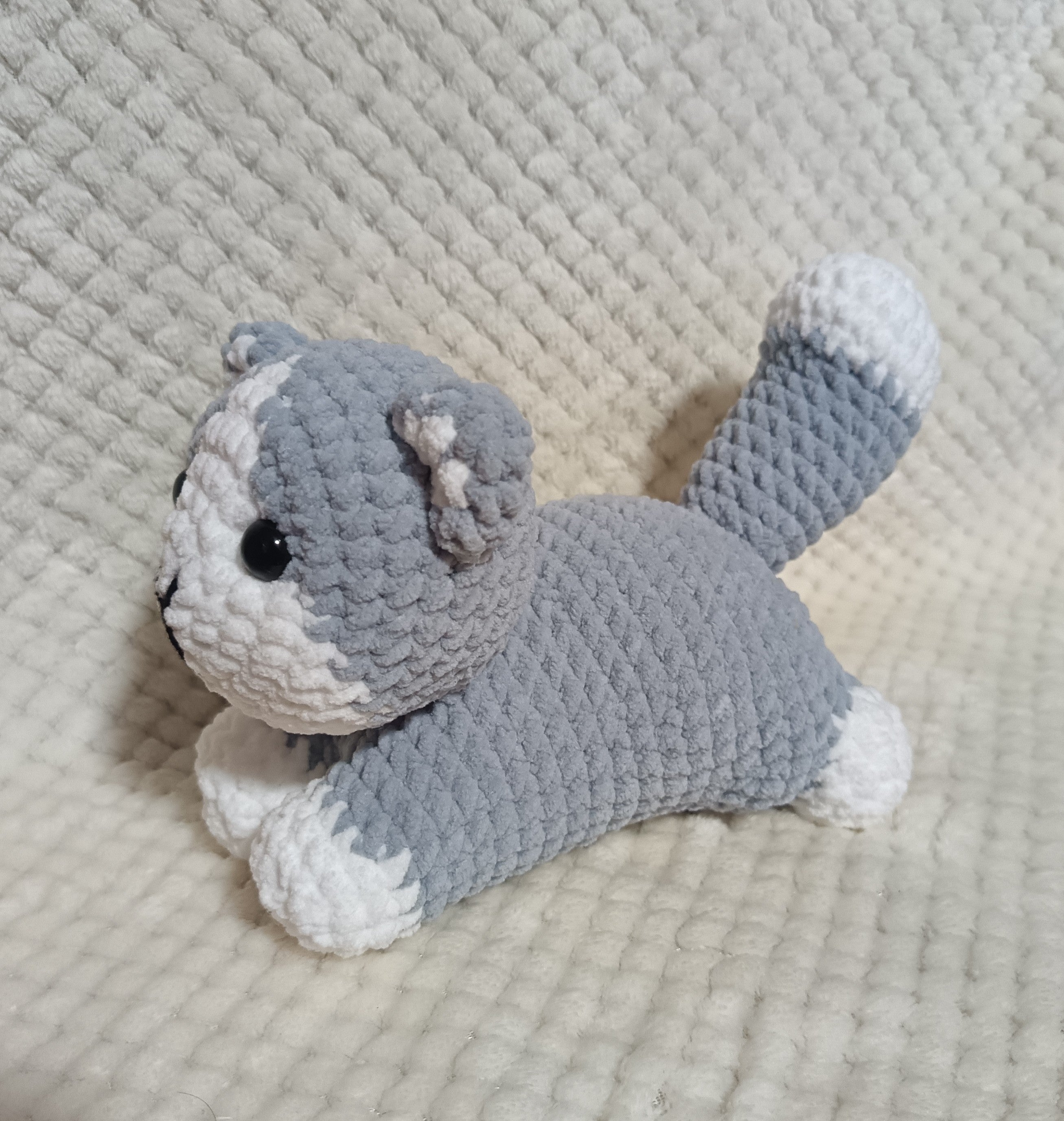 Chaton allongé gris et blanc