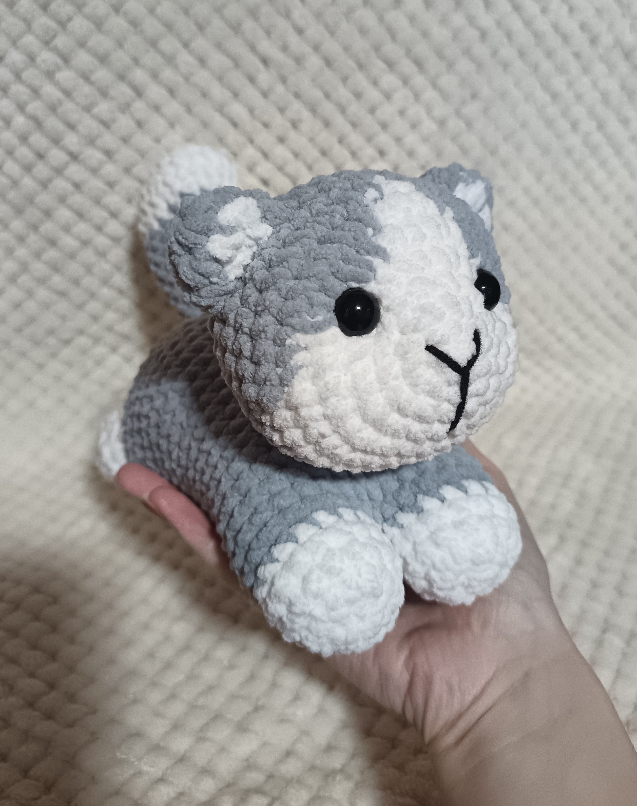 Chaton allongé gris et blanc