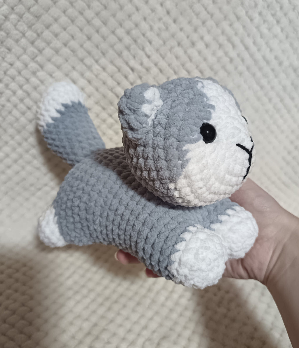 Chaton allongé gris et blanc