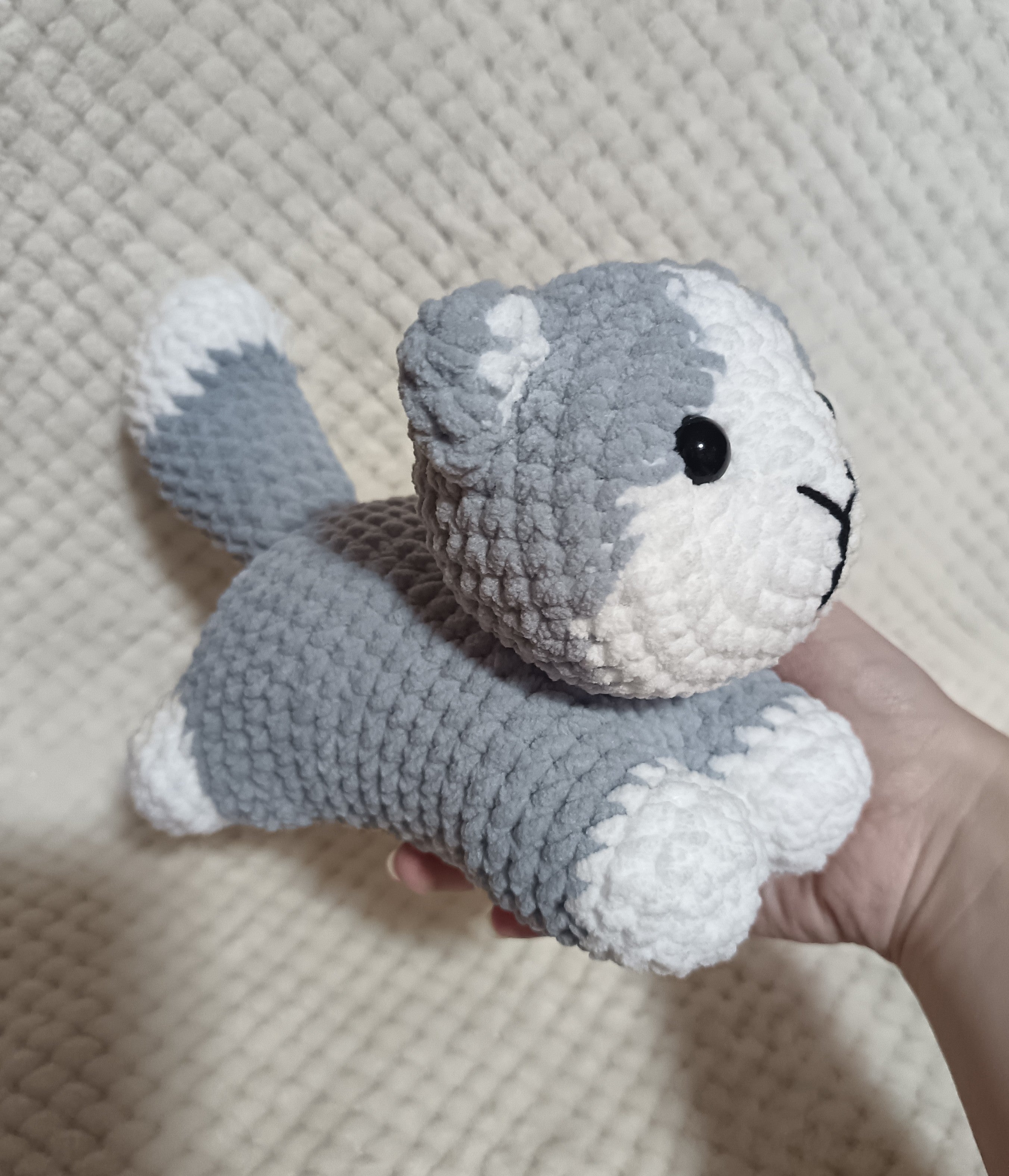 Chaton allongé gris et blanc