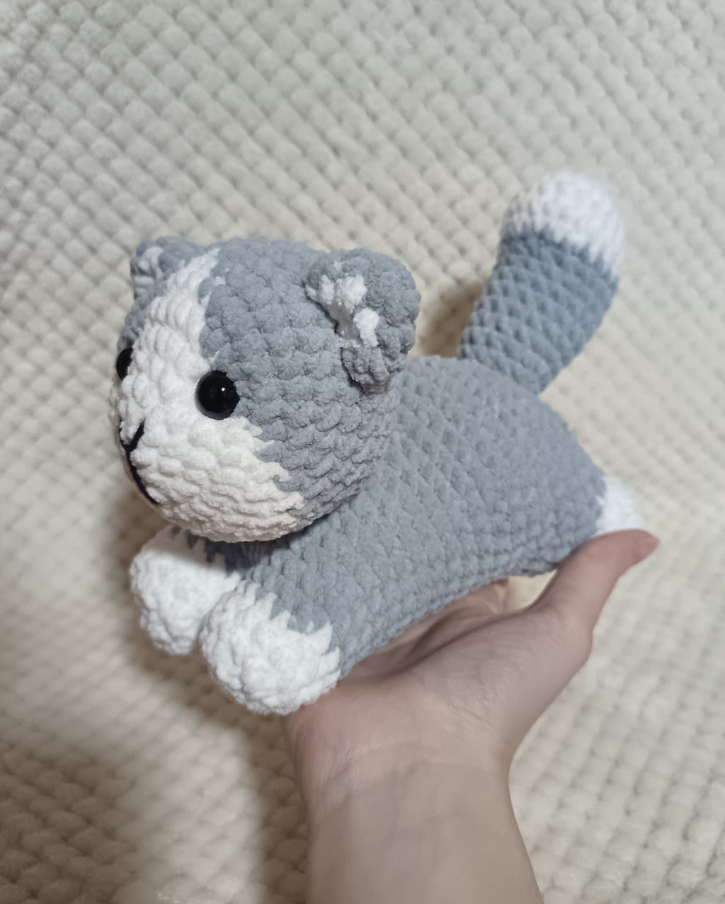 Chaton allongé gris et blanc