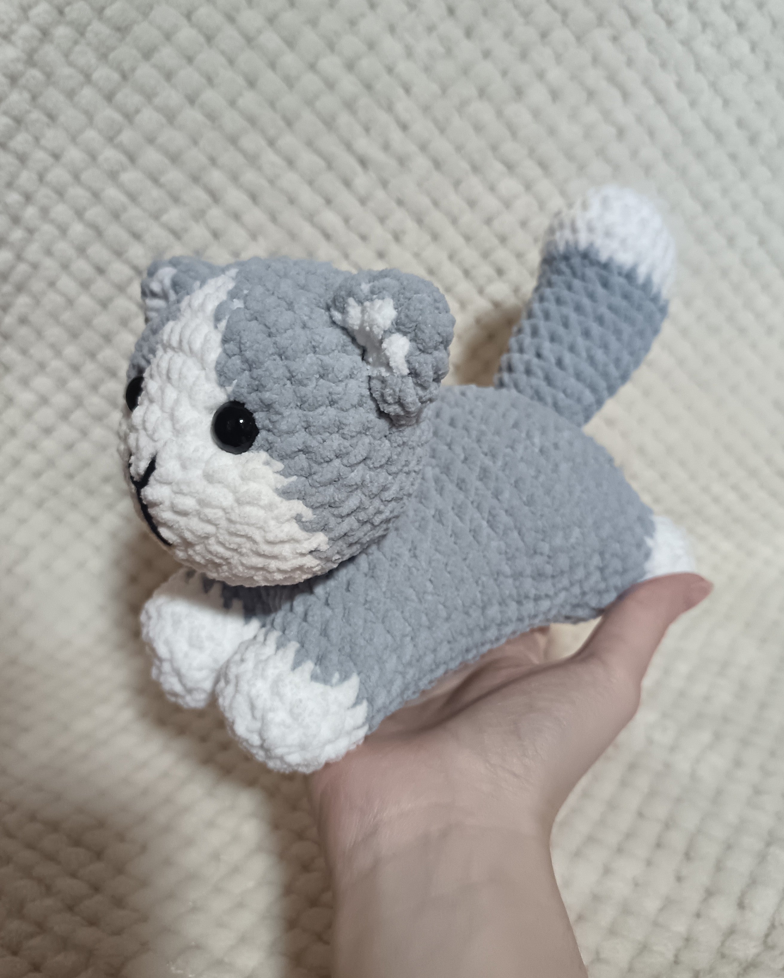 Chaton allongé gris et blanc