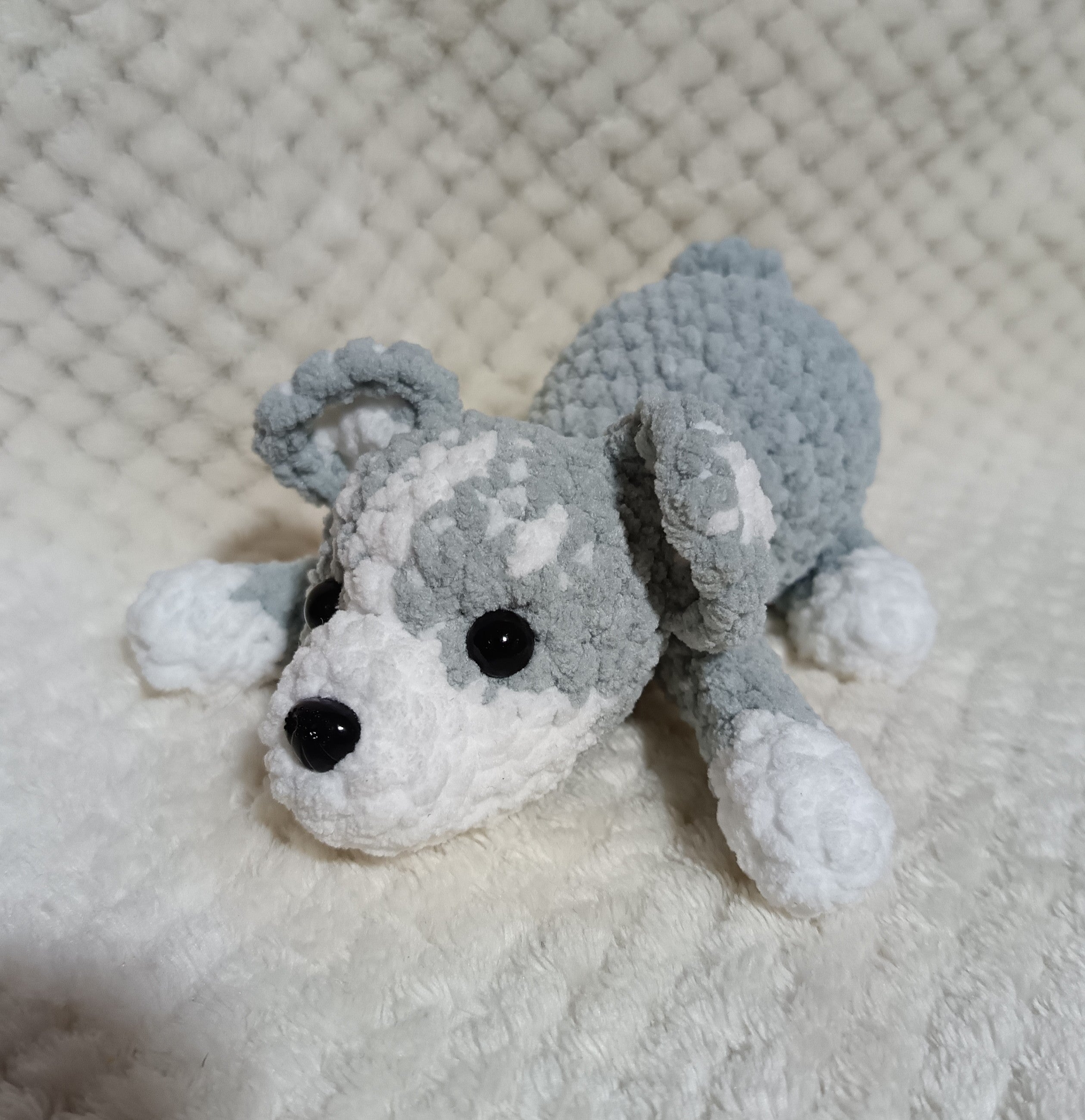 Chiot husky allongé