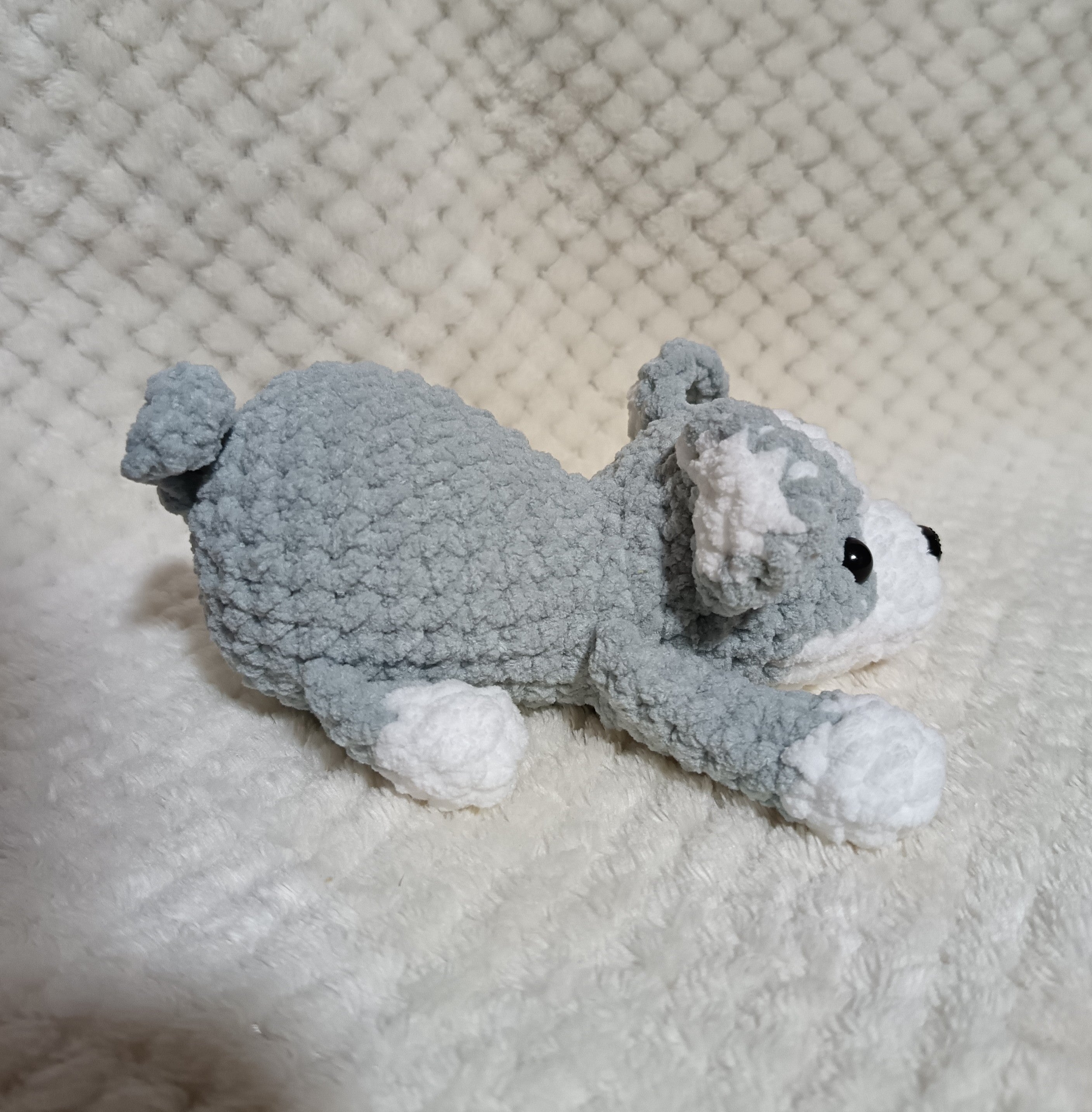 Chiot husky allongé