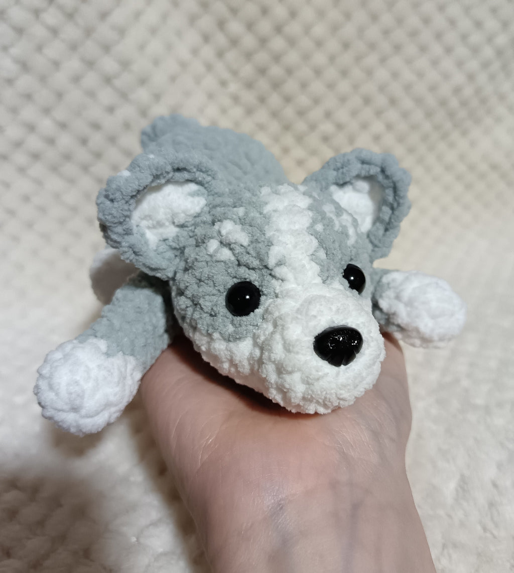 Chiot husky allongé