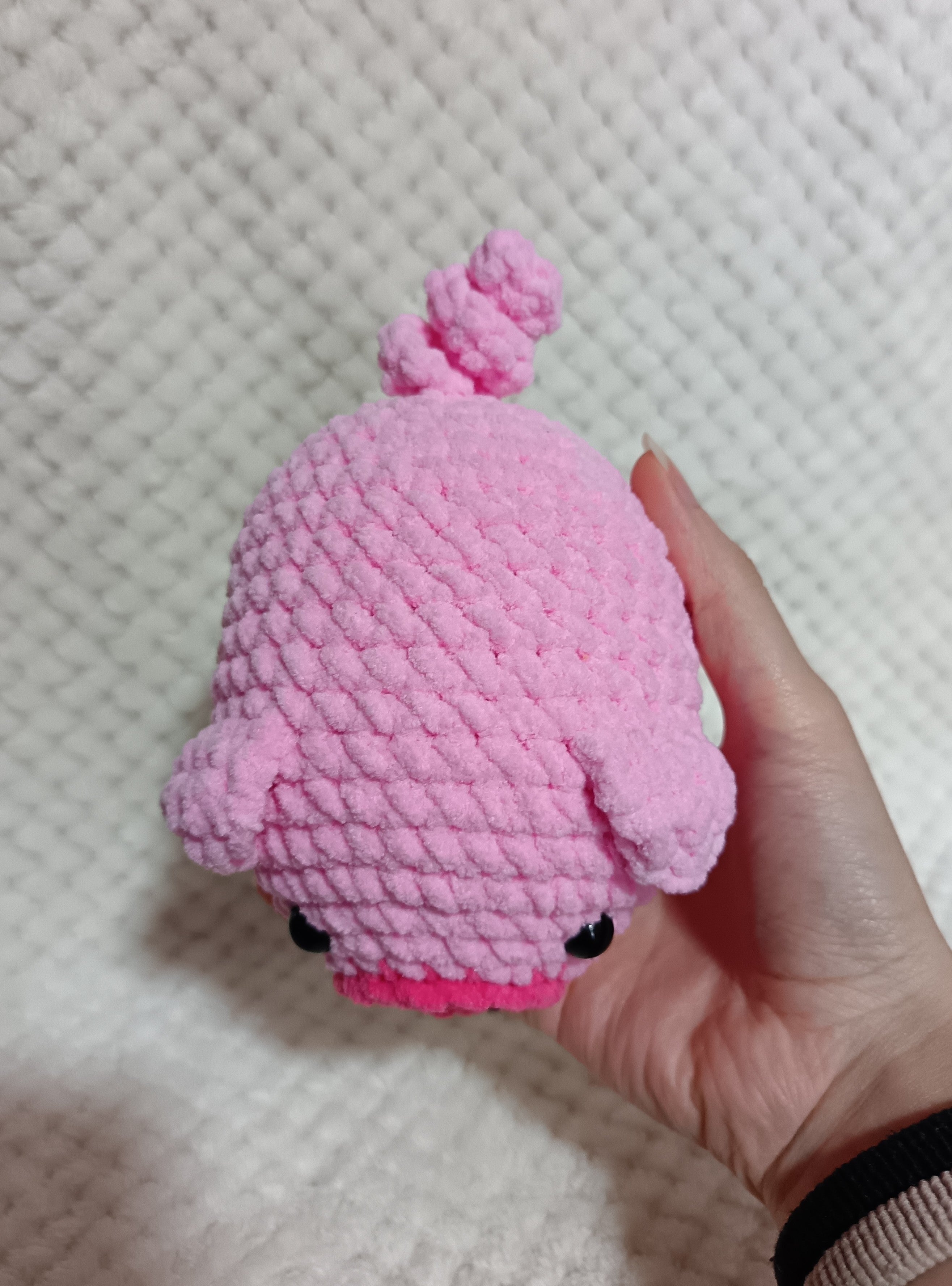 Cochon rose