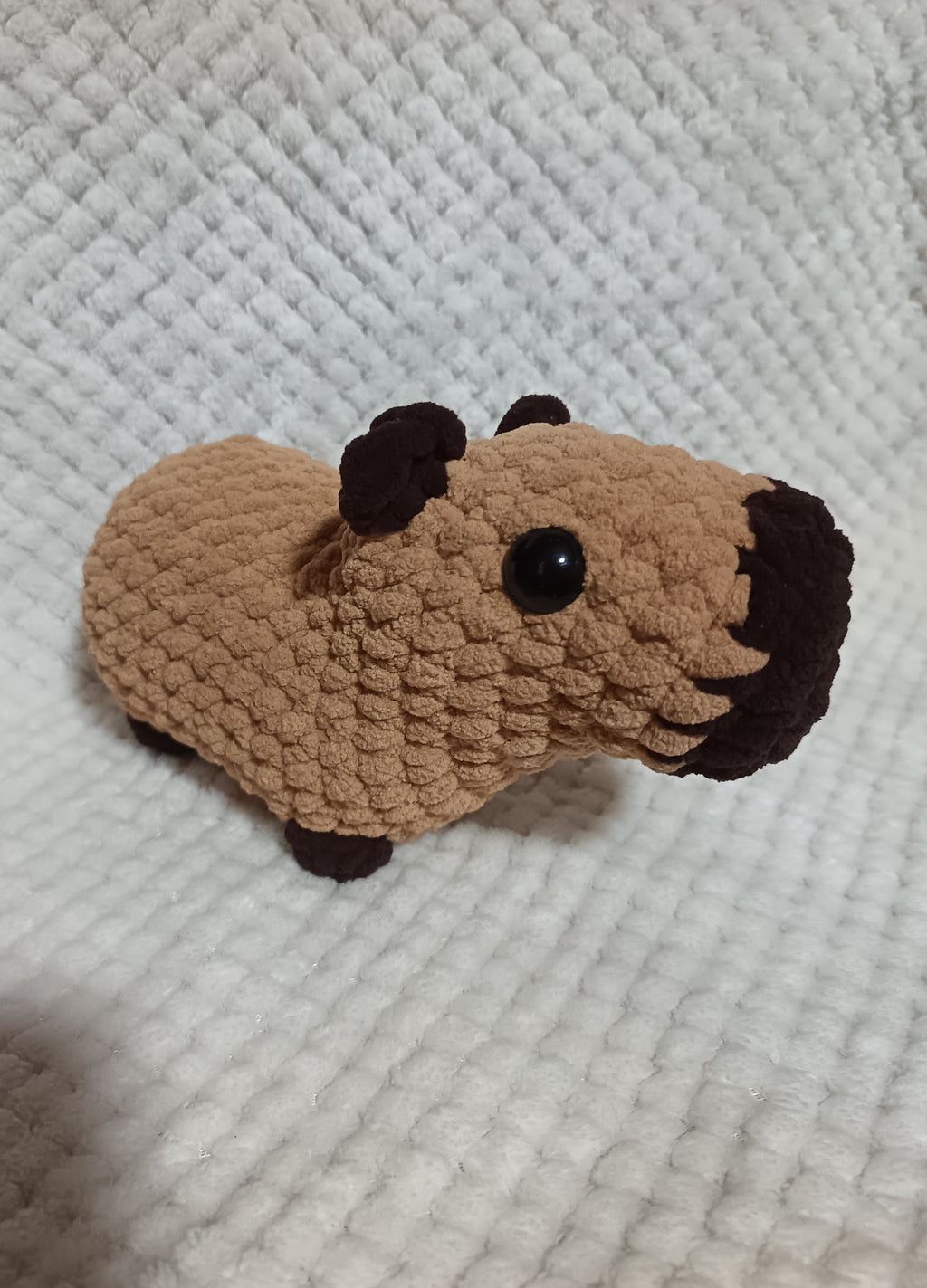 Grand capybara marron