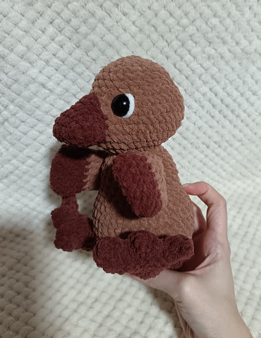 Grand ornithorynque